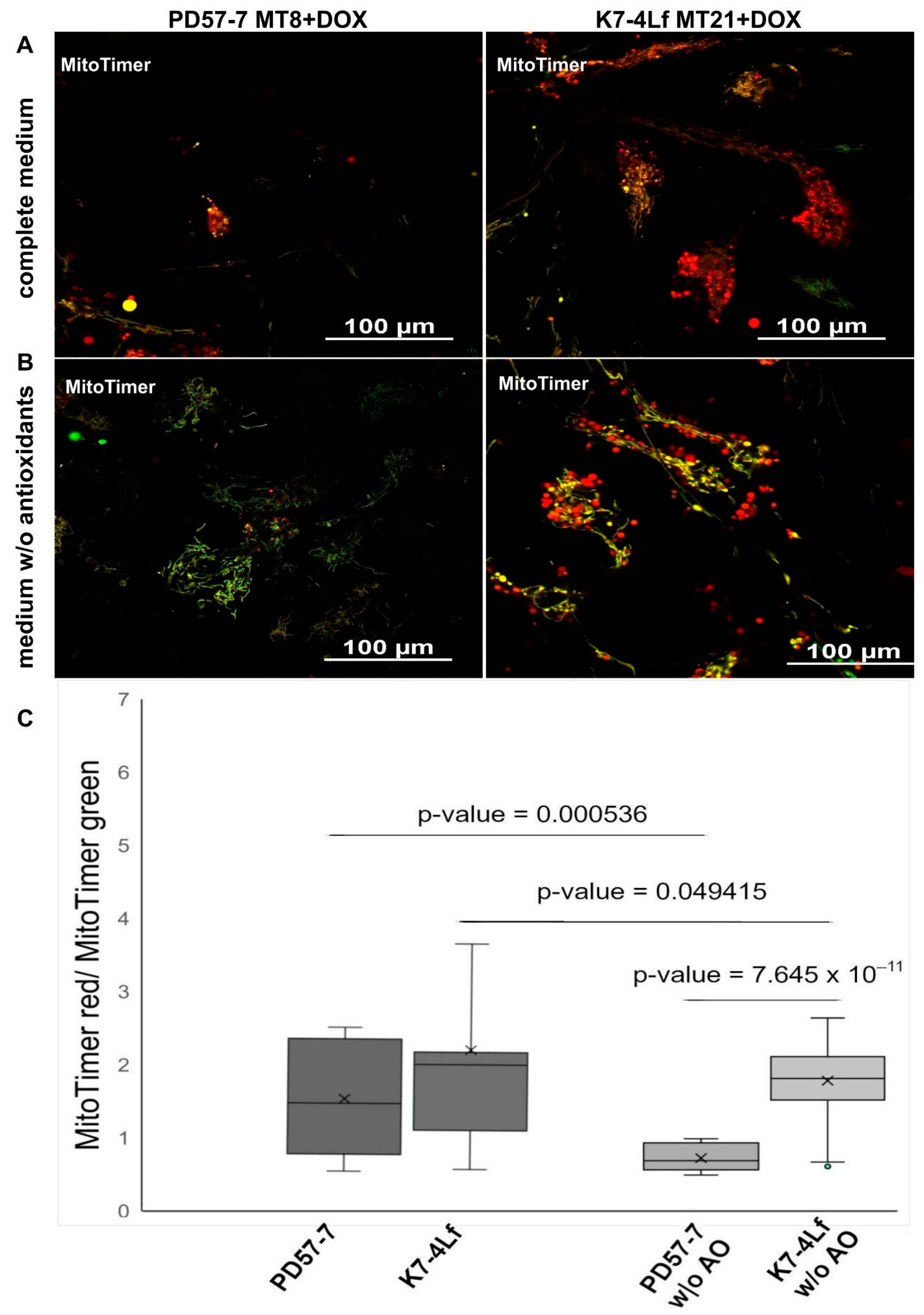 Biomedicines 13 00550 g005