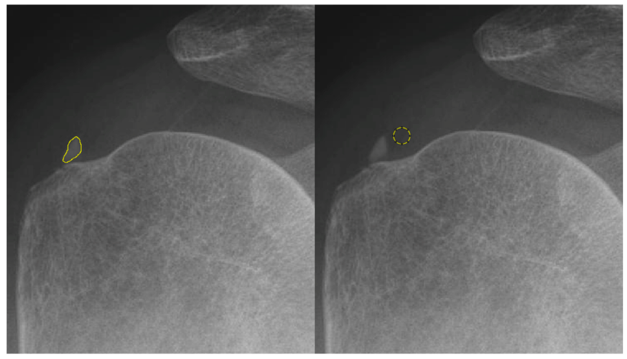 Biomedicines 13 00551 g001