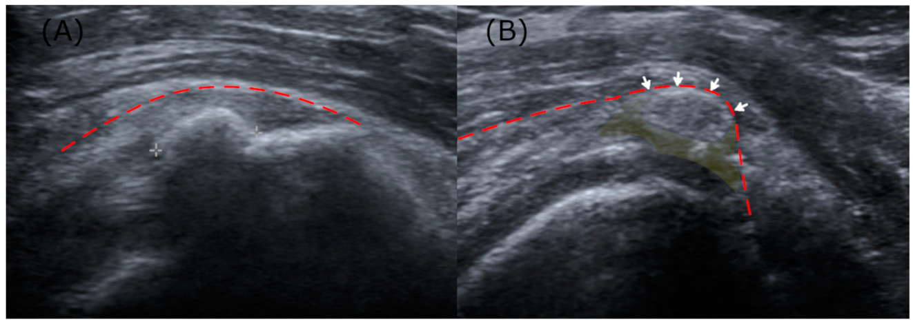 Biomedicines 13 00551 g002