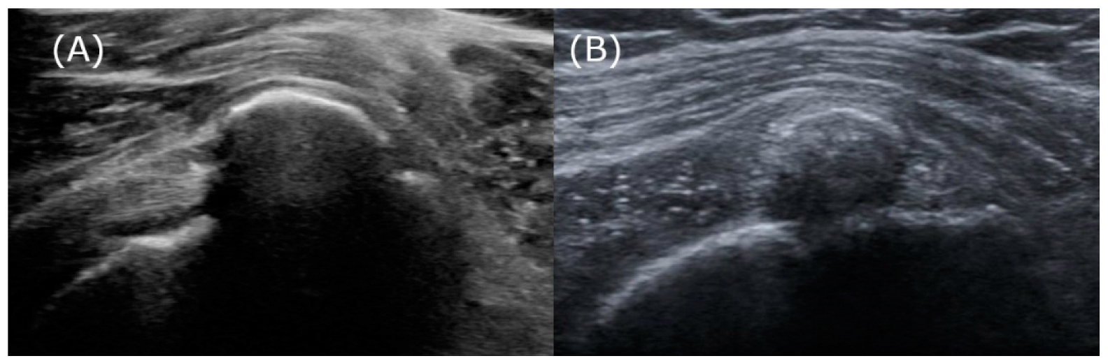 Biomedicines 13 00551 g007