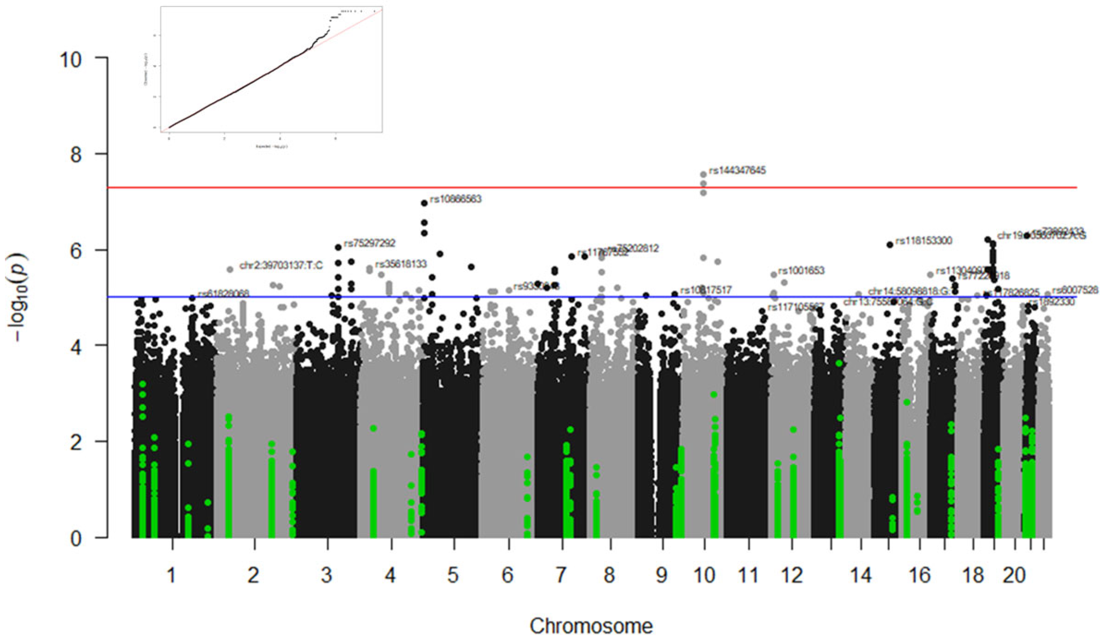 Biomedicines 13 00553 g001