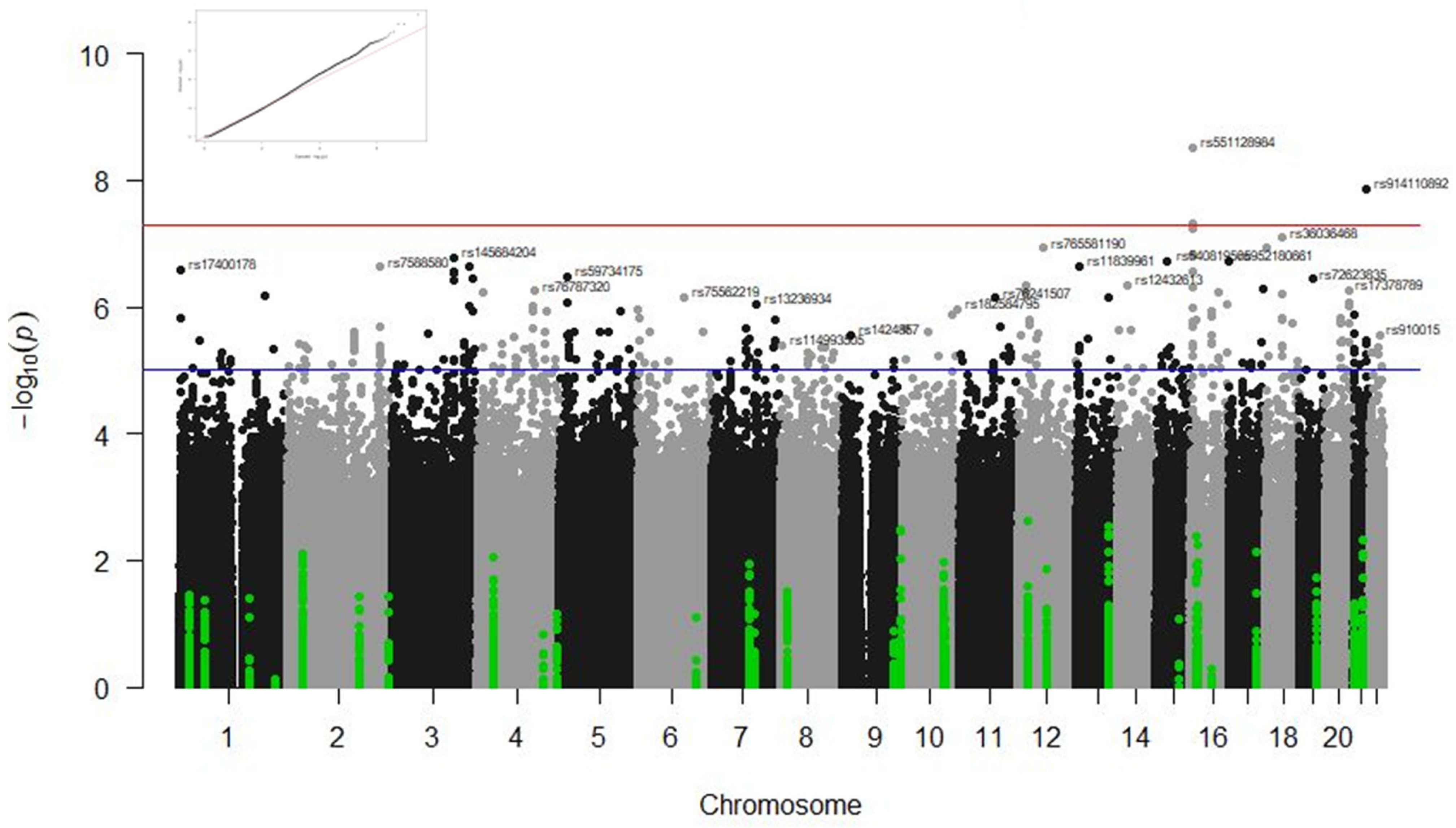 Biomedicines 13 00553 g003
