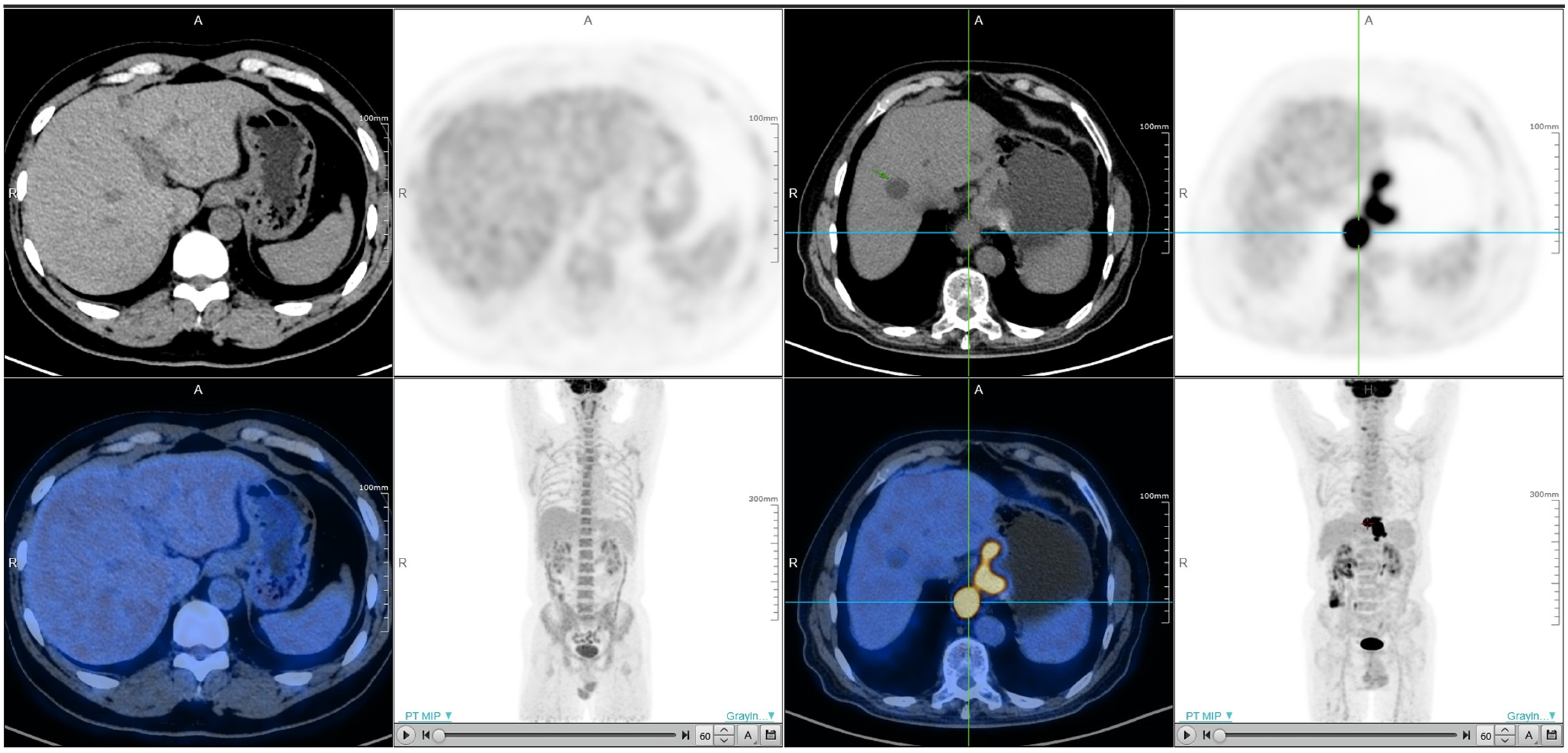 Biomedicines 13 00554 g001