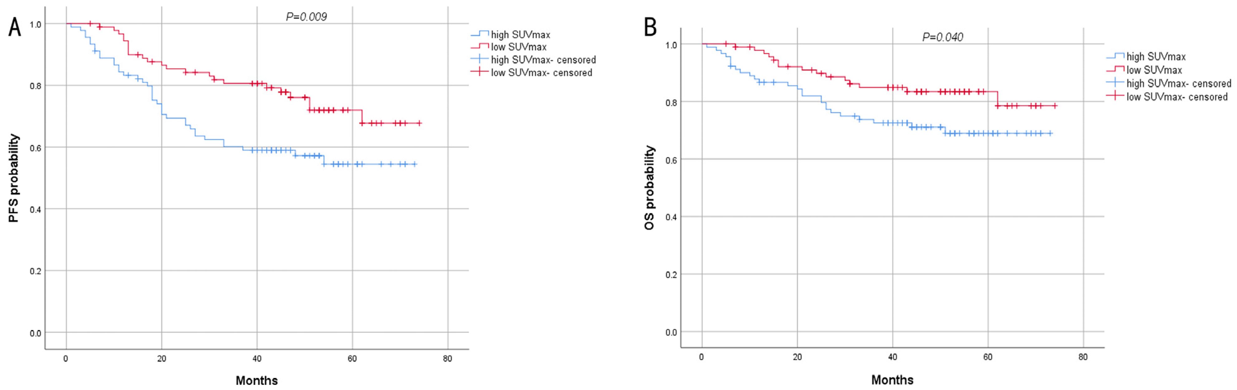 Biomedicines 13 00554 g004