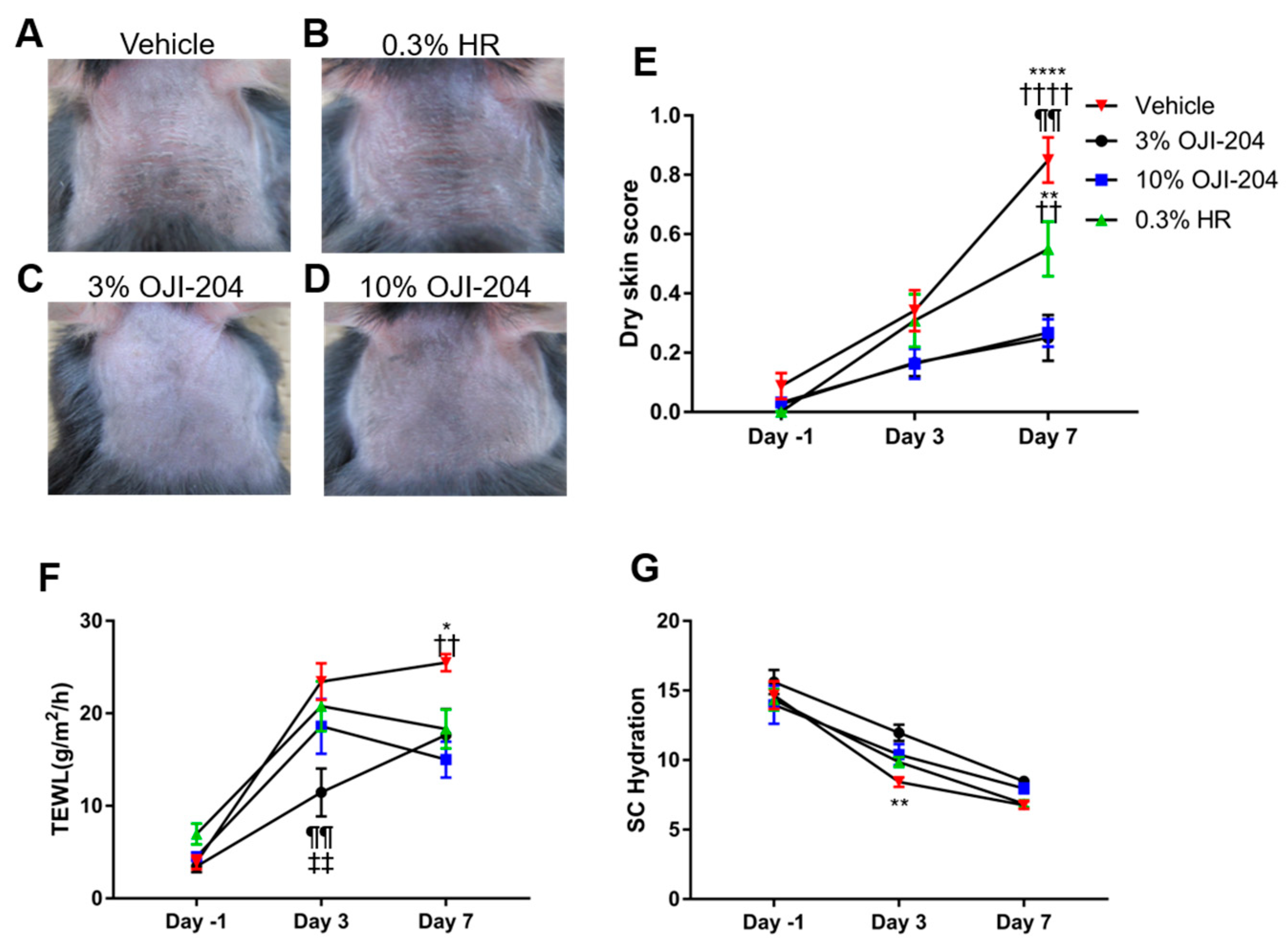 Biomedicines 13 00556 g003