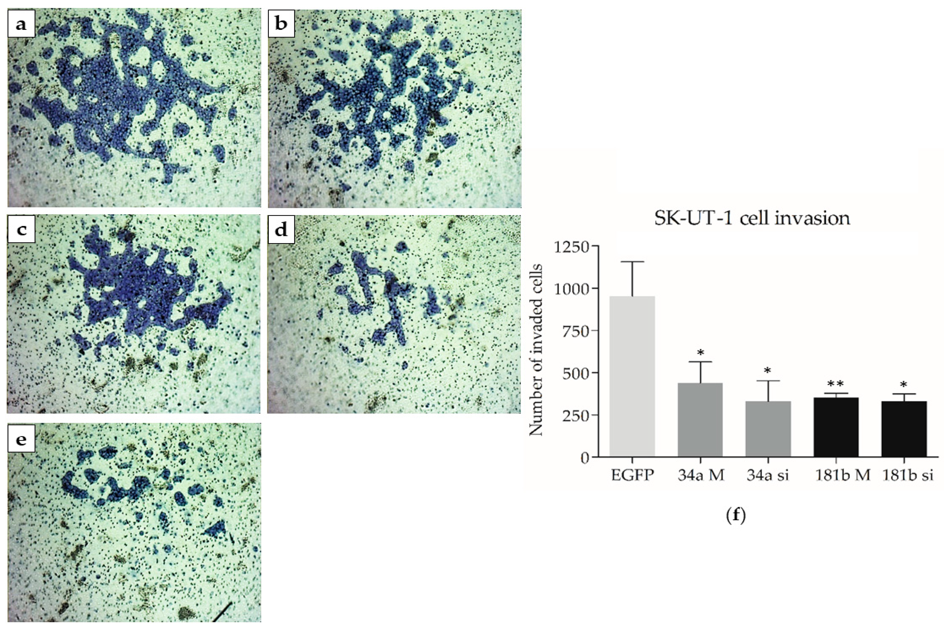 Biomedicines 13 00560 g004