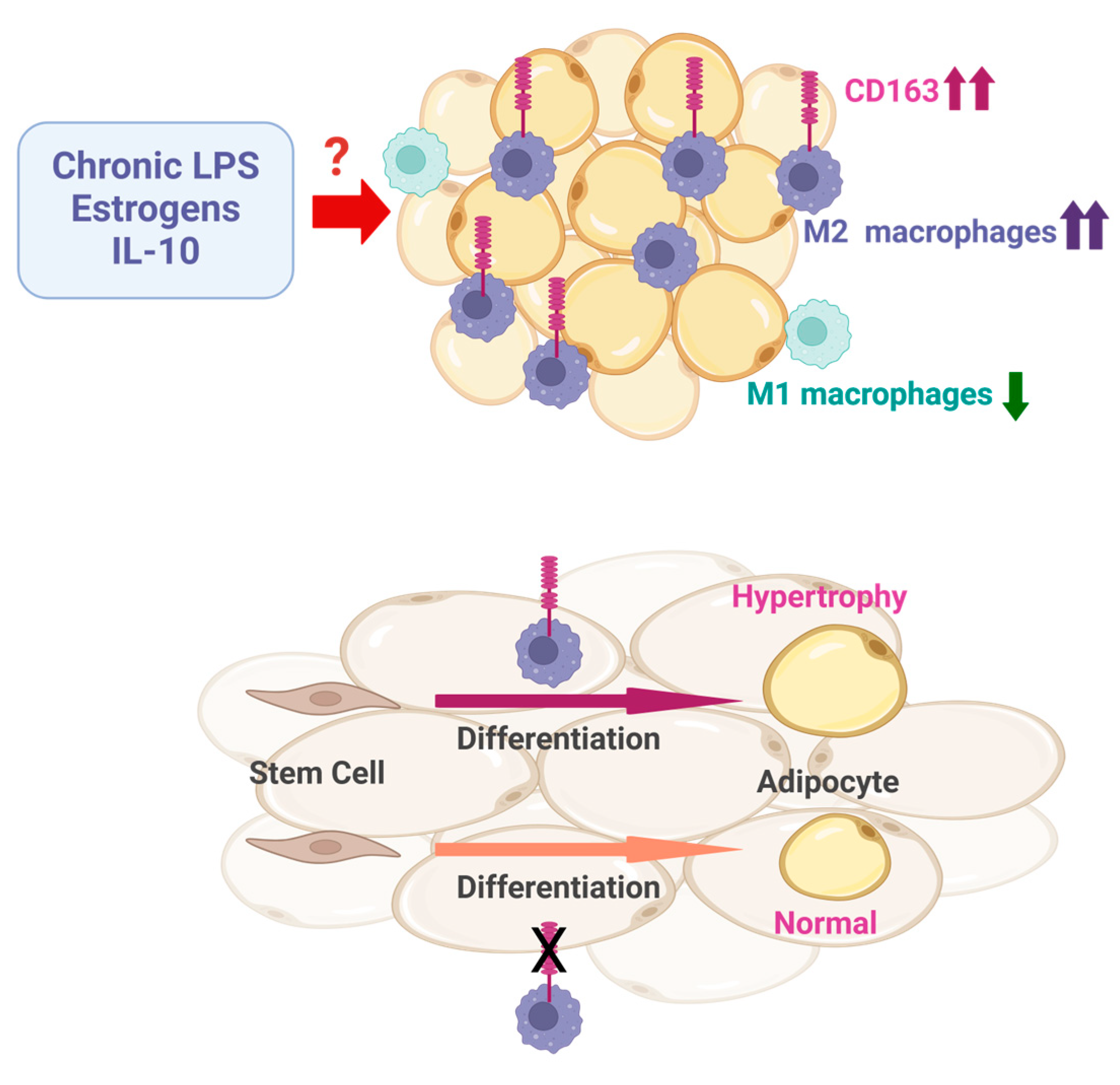 Biomedicines 13 00561 g001