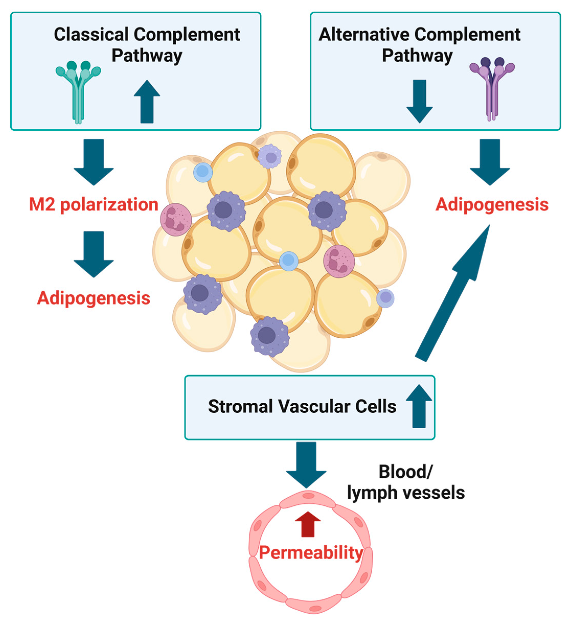 Biomedicines 13 00561 g002