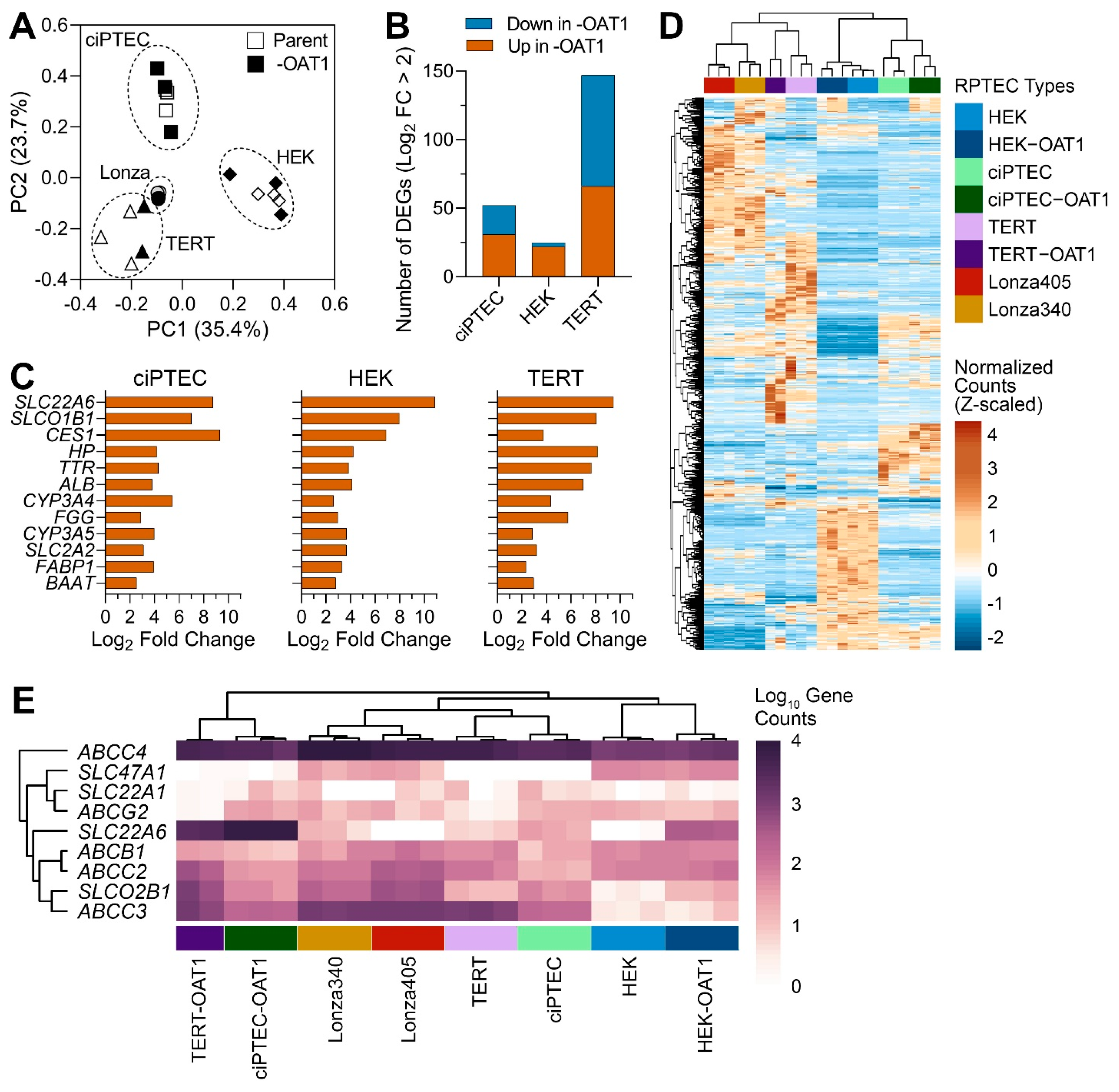 Biomedicines 13 00563 g001