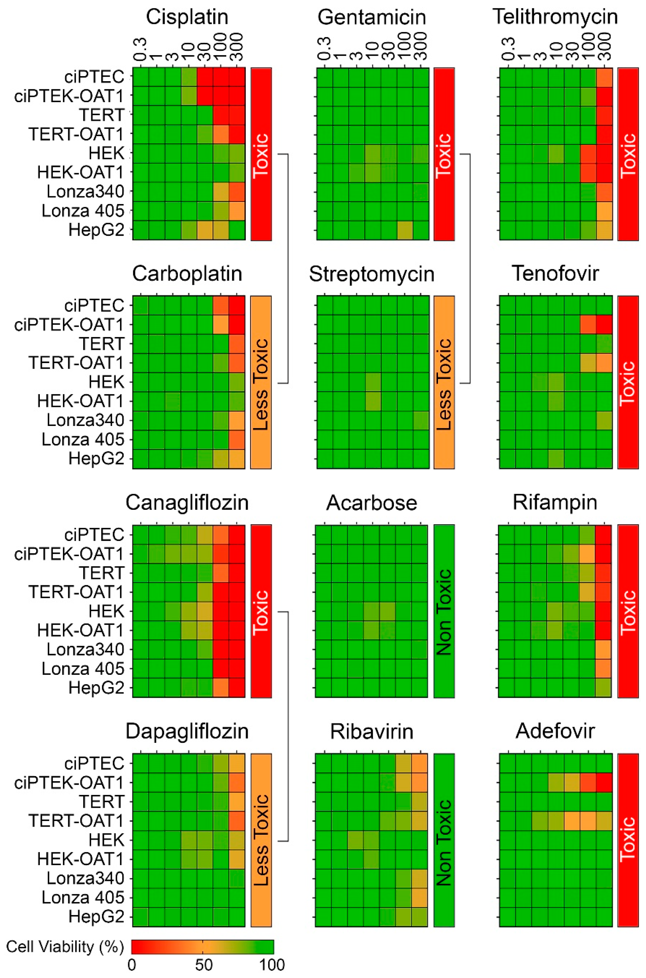 Biomedicines 13 00563 g002
