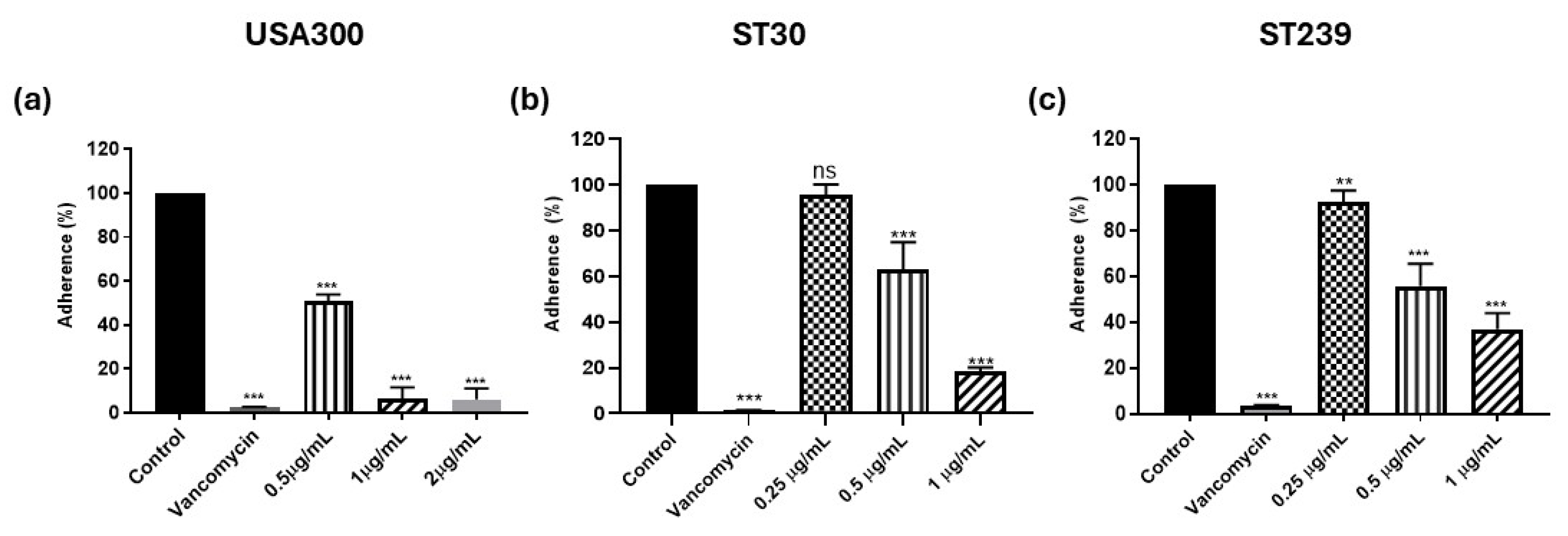 Biomedicines 13 00564 g001