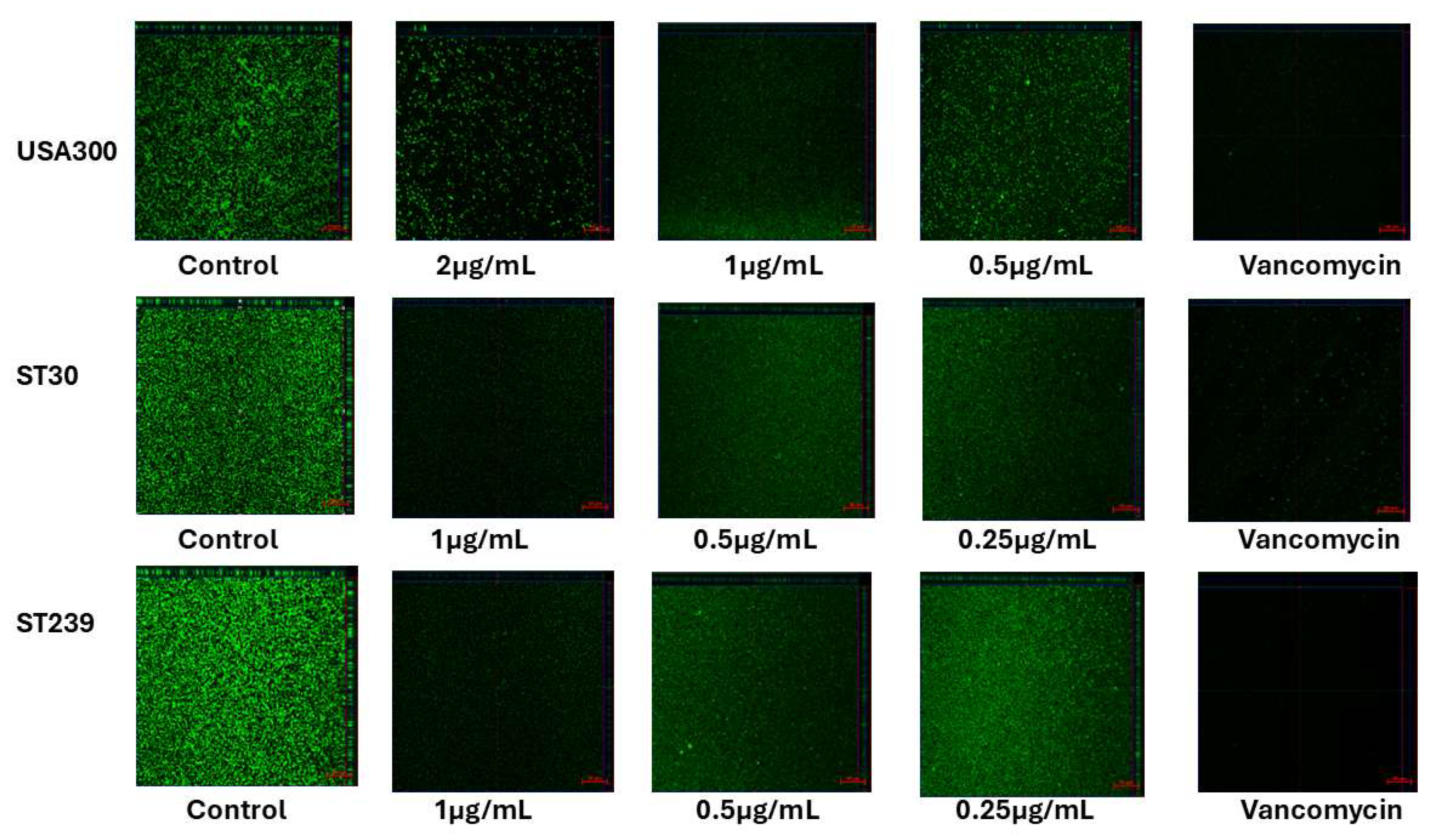 Biomedicines 13 00564 g004