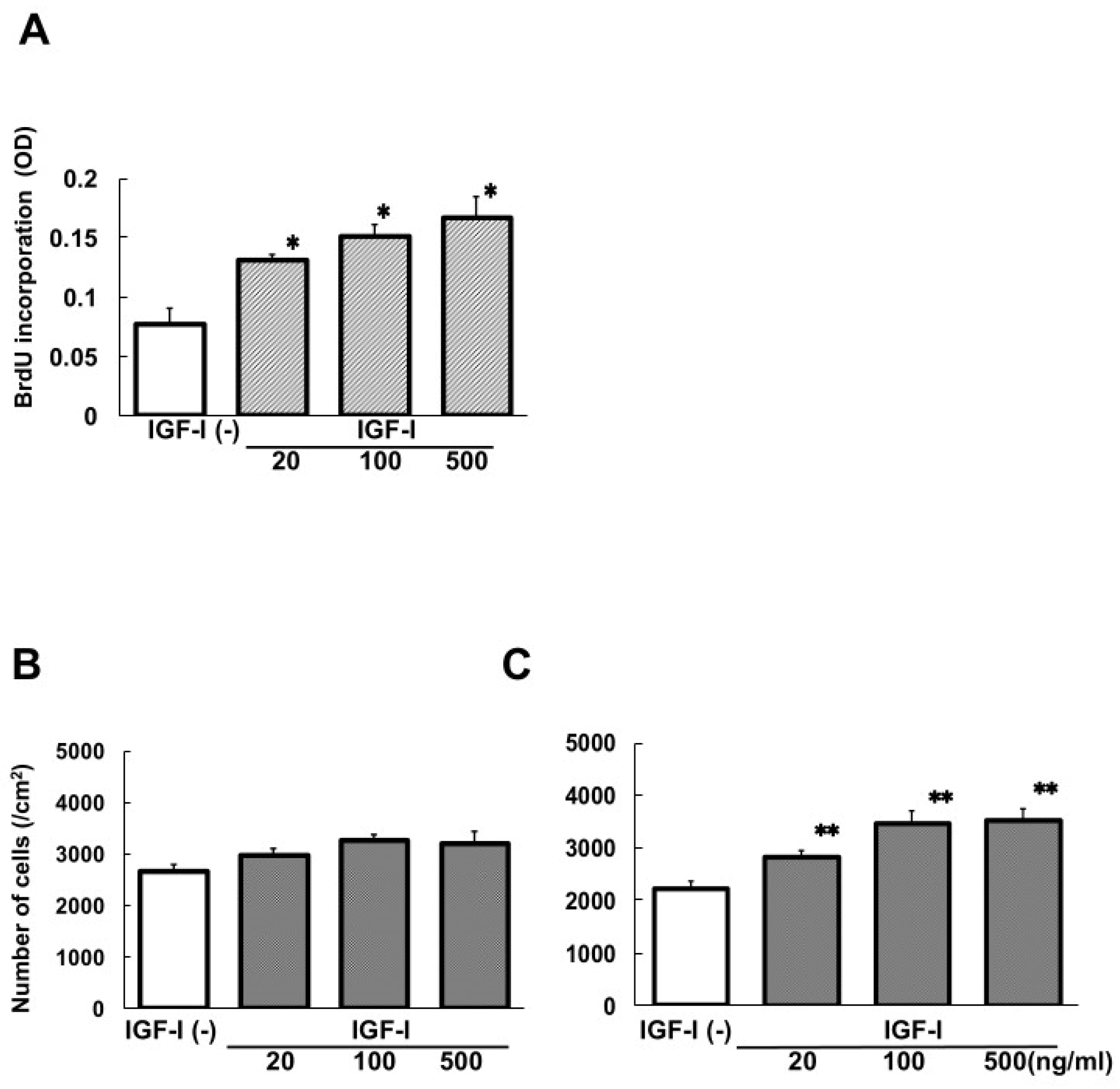 Biomedicines 13 00566 g001