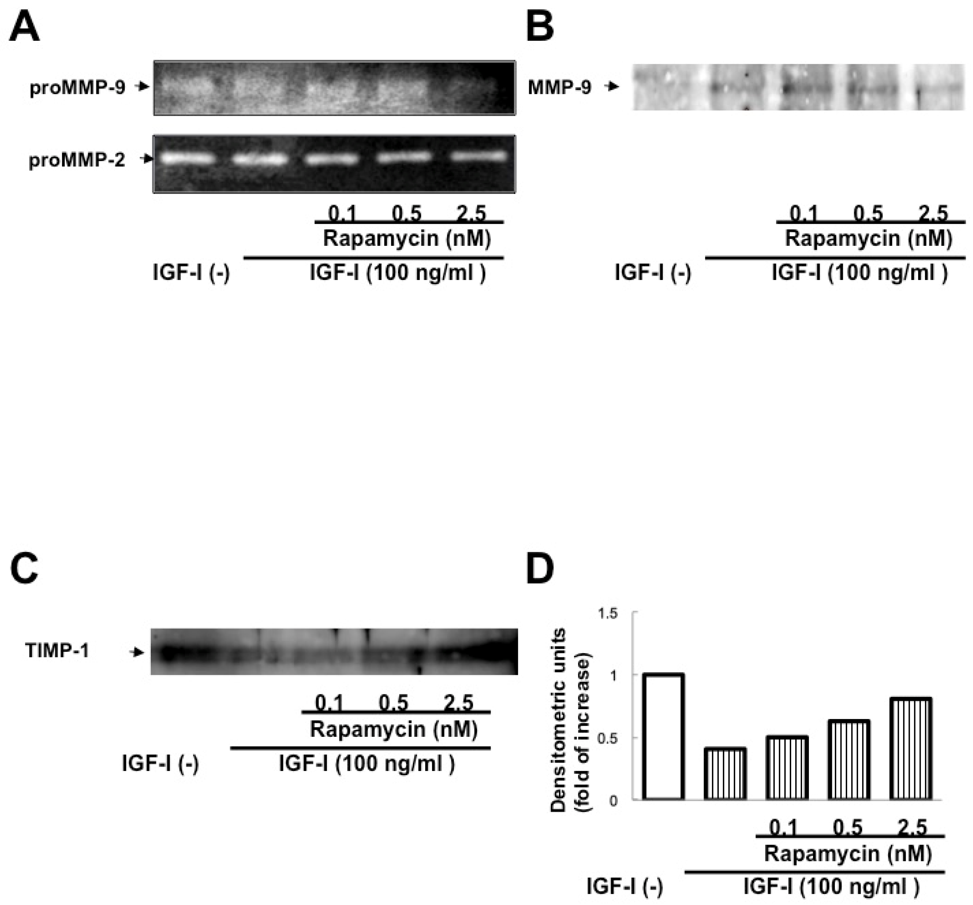 Biomedicines 13 00566 g005