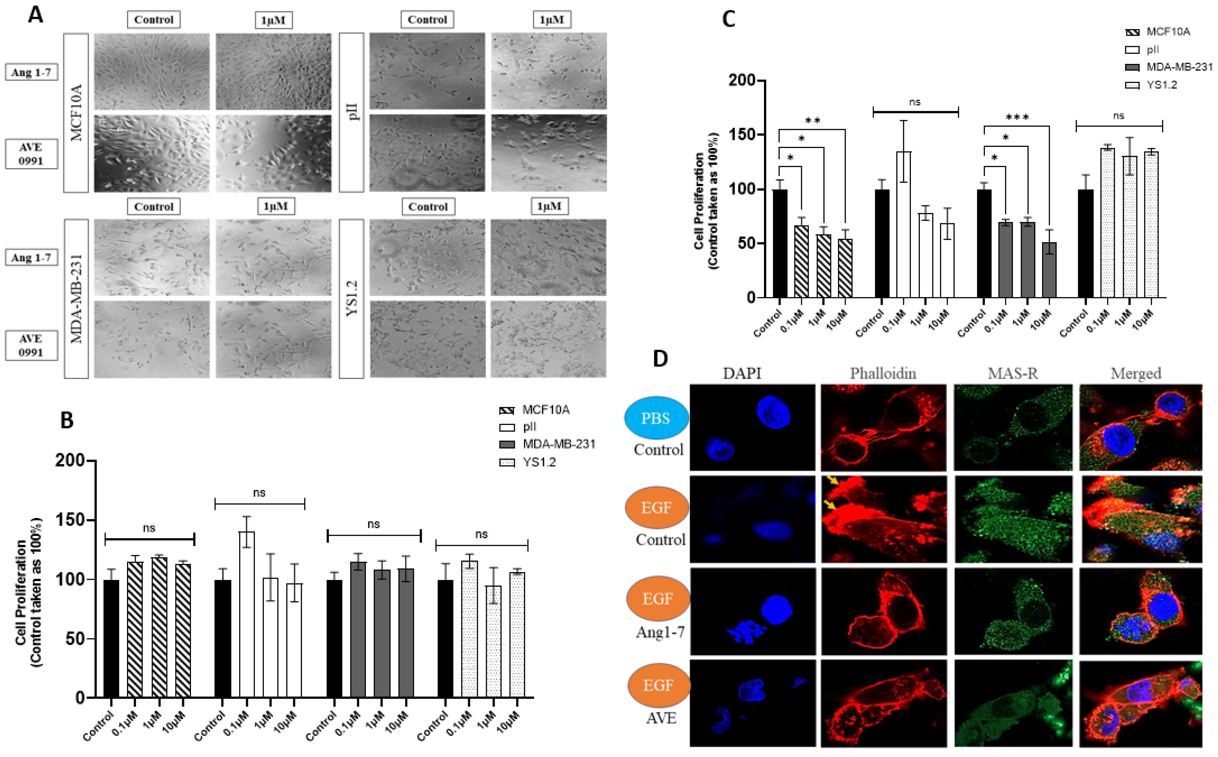 Biomedicines 13 00567 g005
