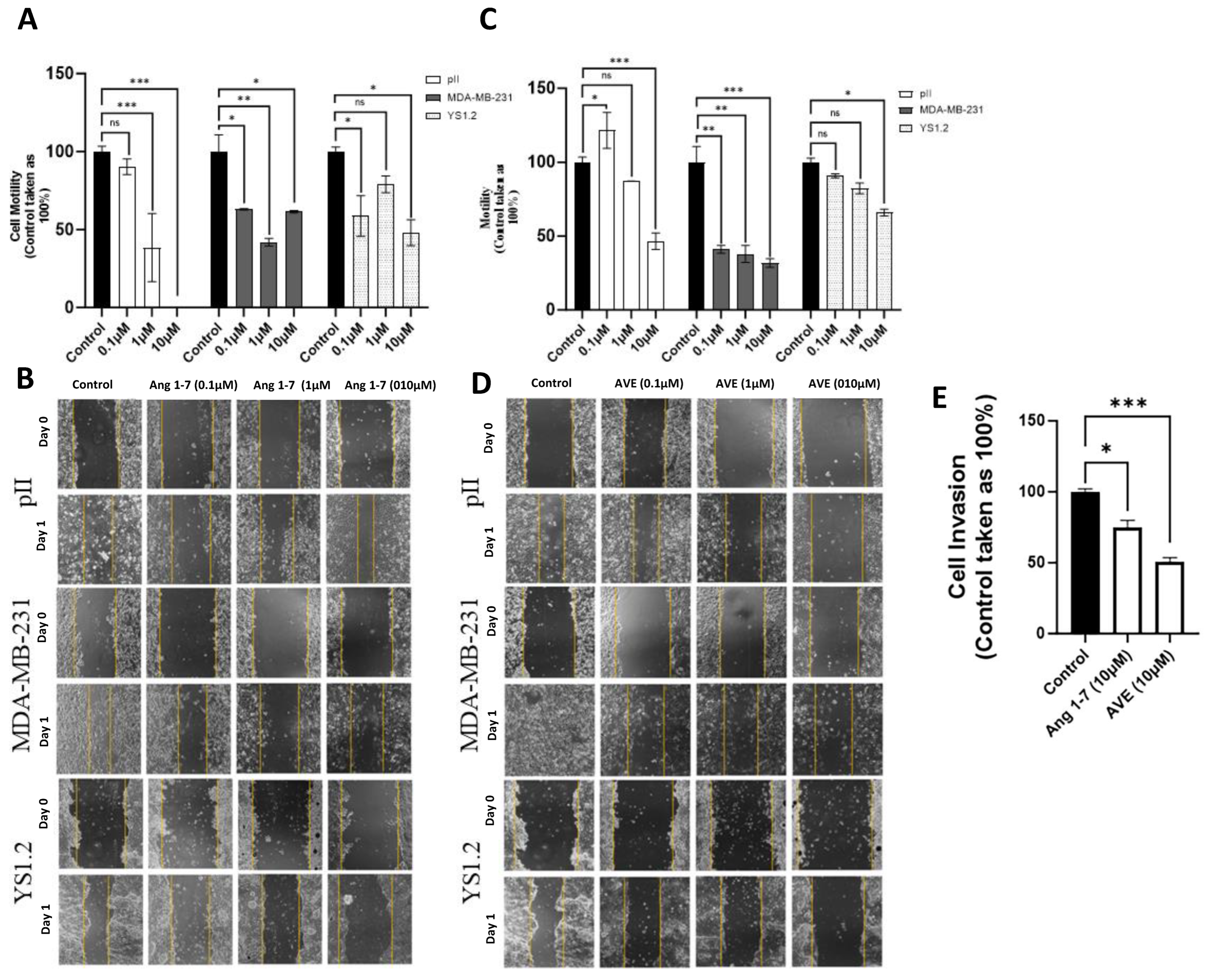 Biomedicines 13 00567 g006