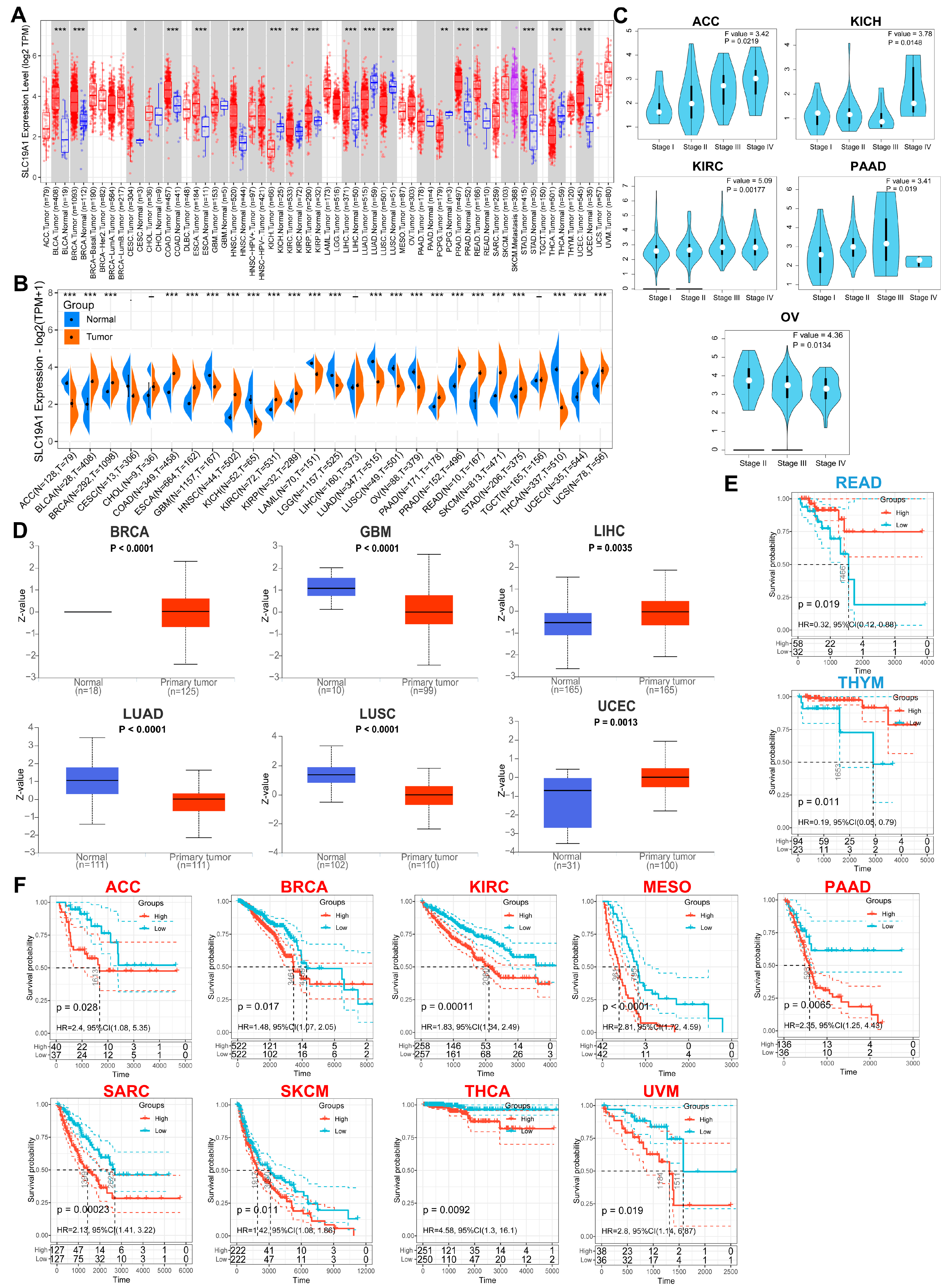 Biomedicines 13 00571 g001