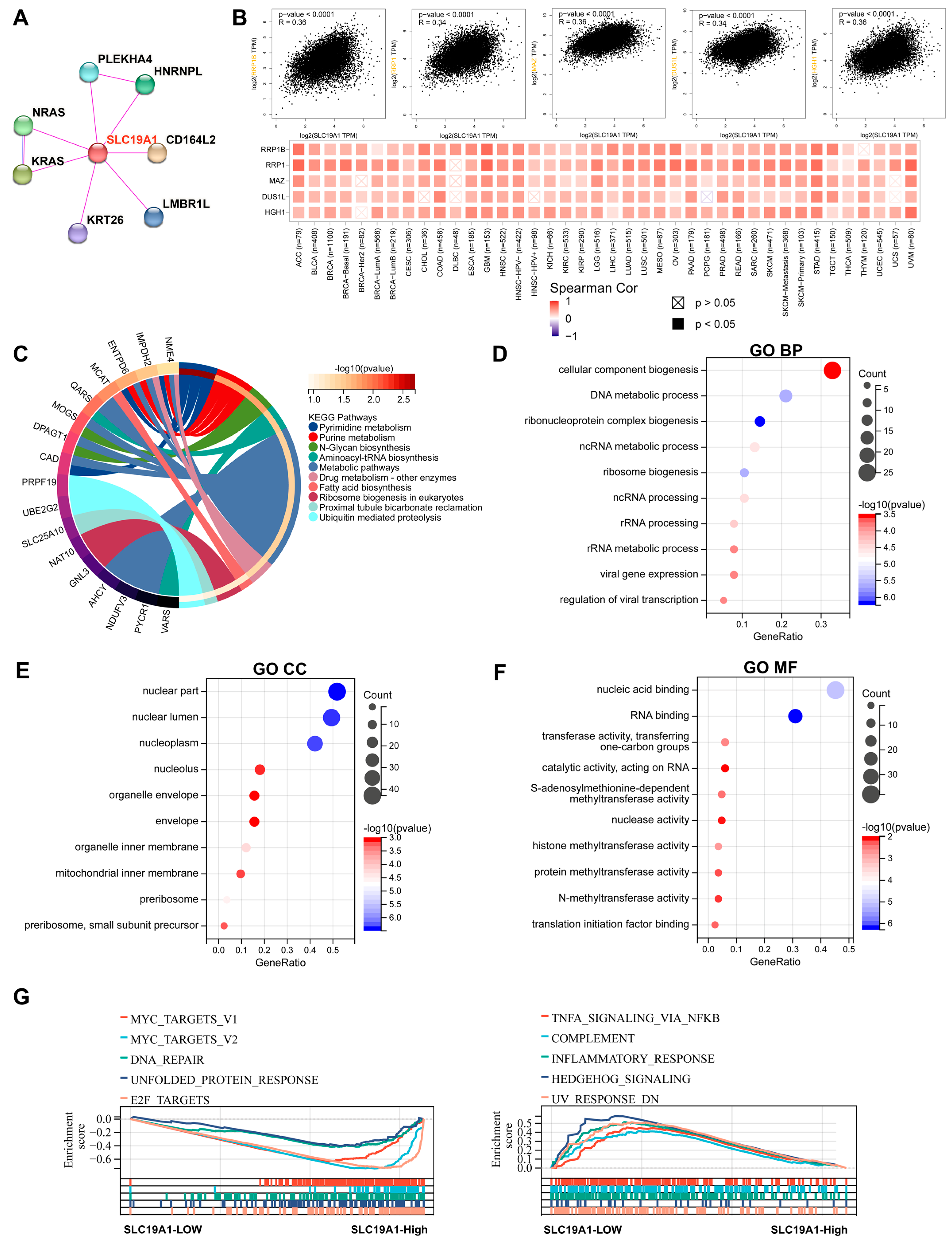 Biomedicines 13 00571 g004