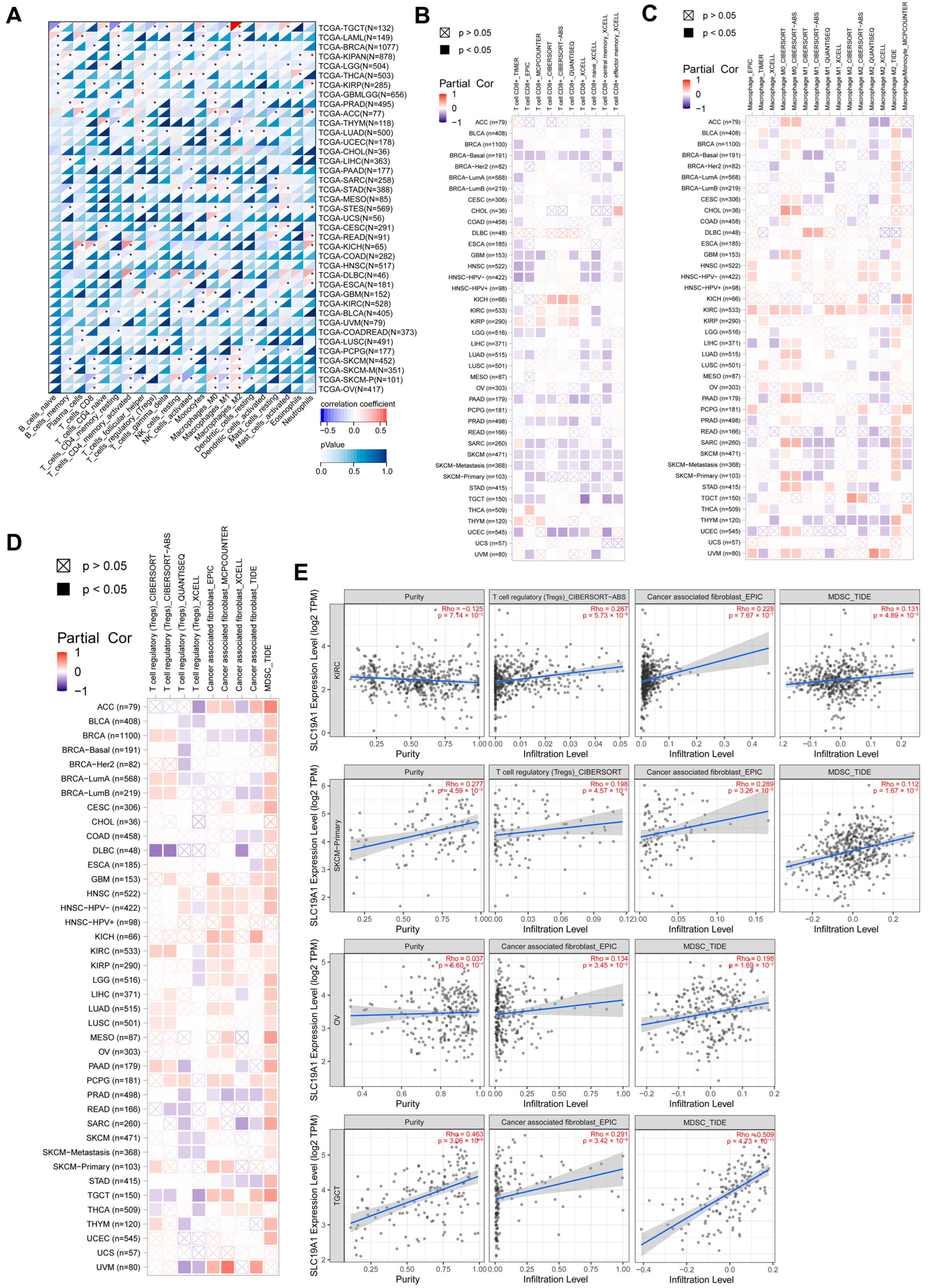 Biomedicines 13 00571 g006
