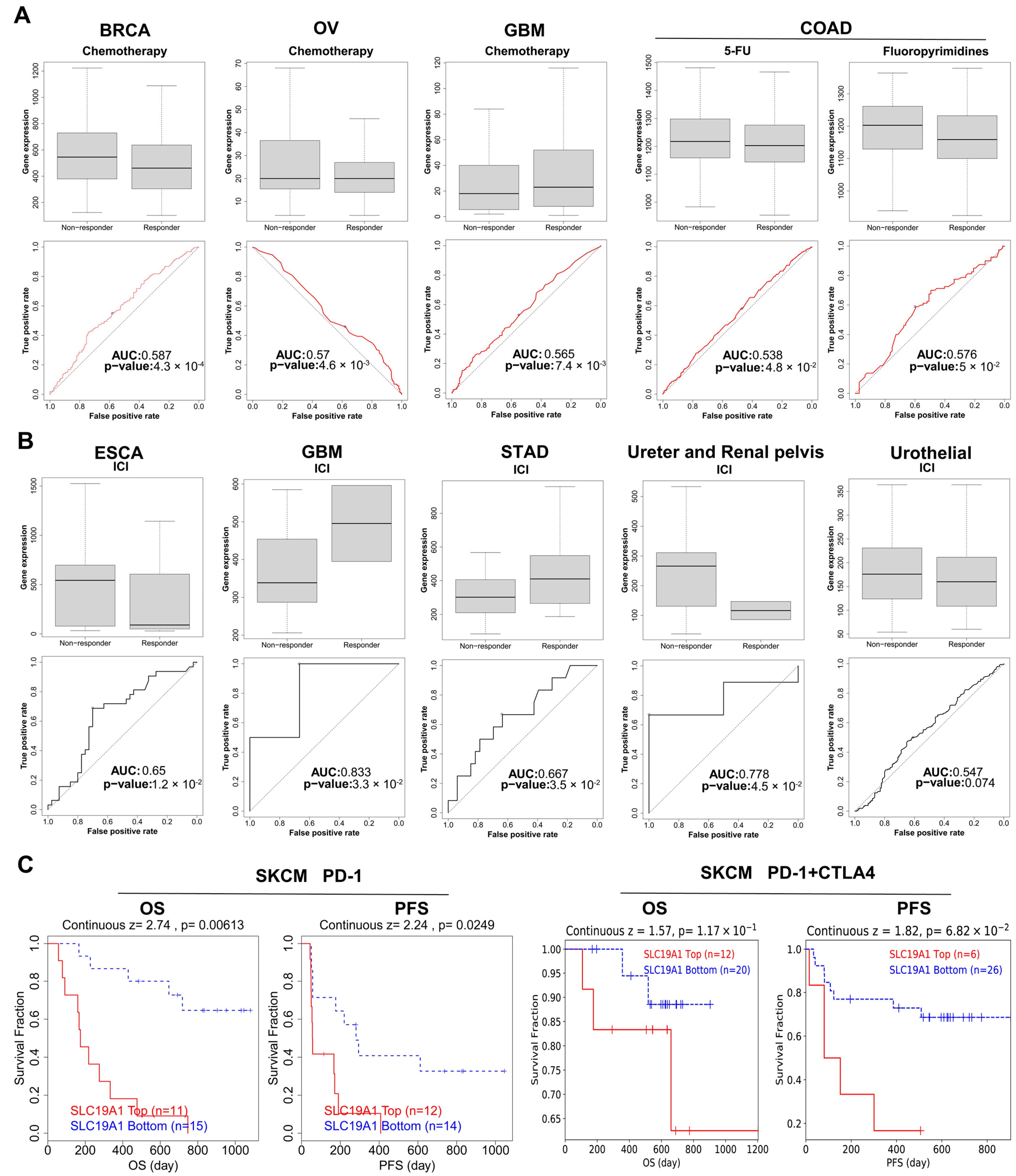 Biomedicines 13 00571 g009