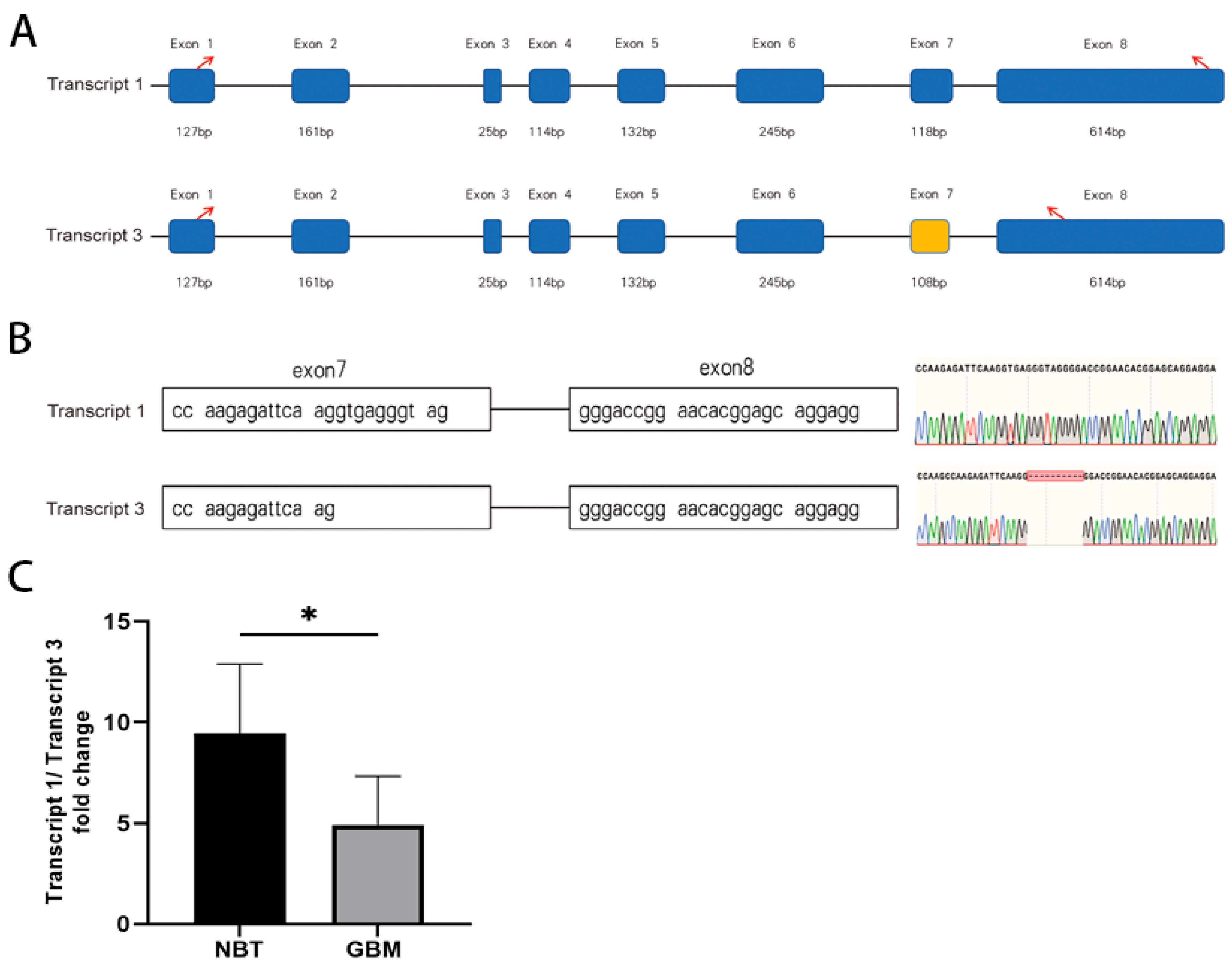 Biomedicines 13 00576 g004