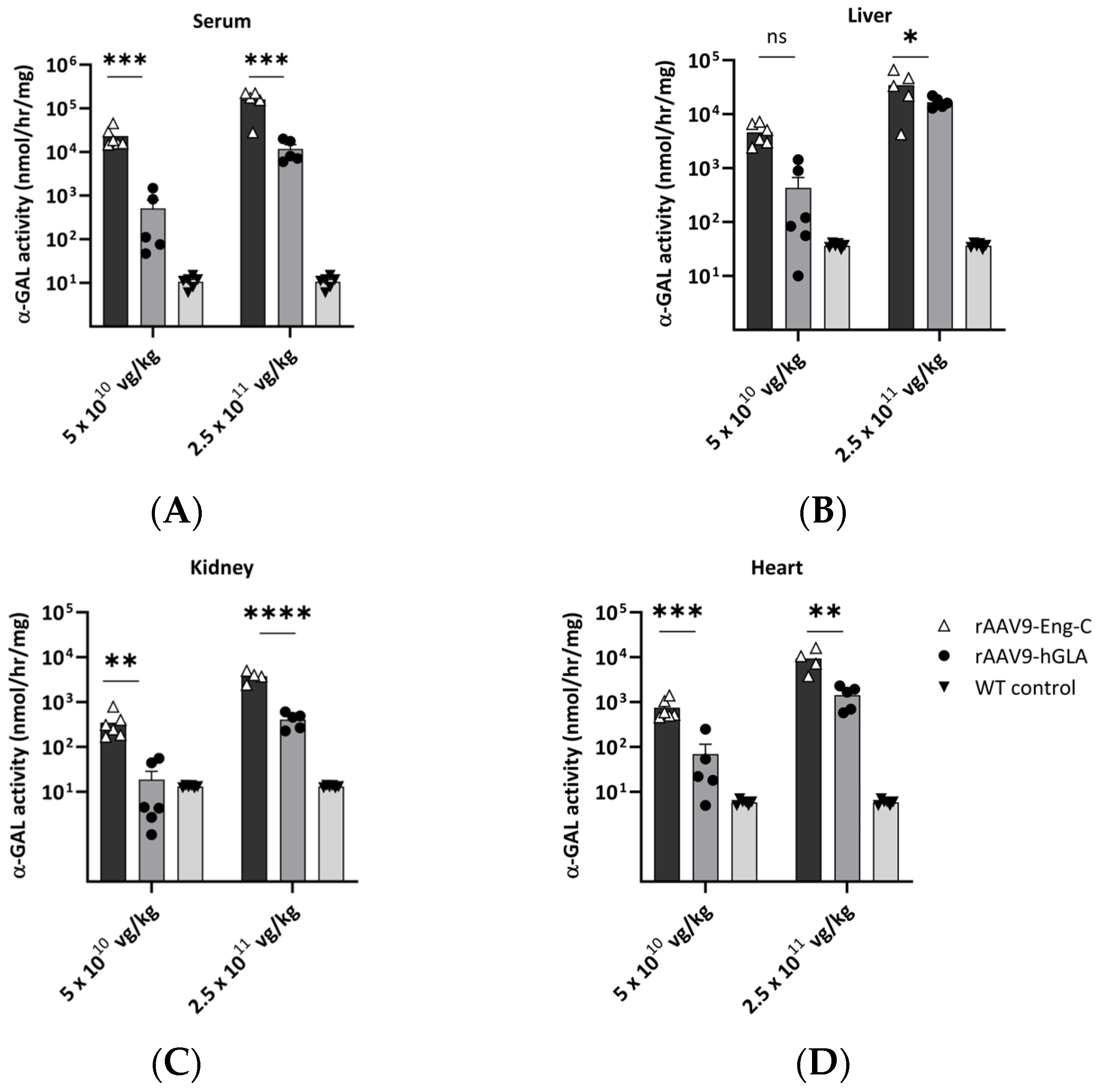 Biomedicines 13 00577 g003