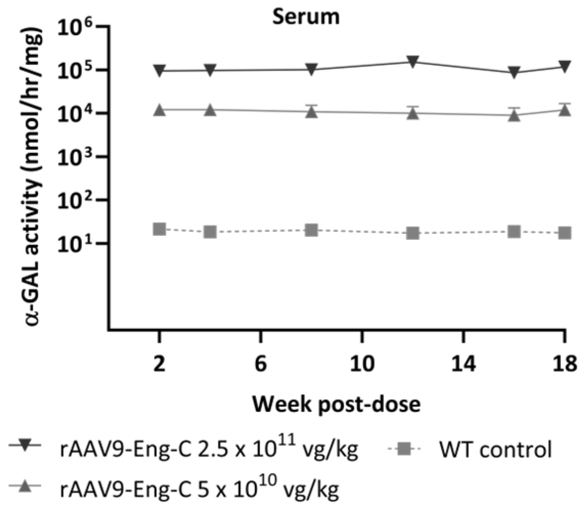 Biomedicines 13 00577 g005