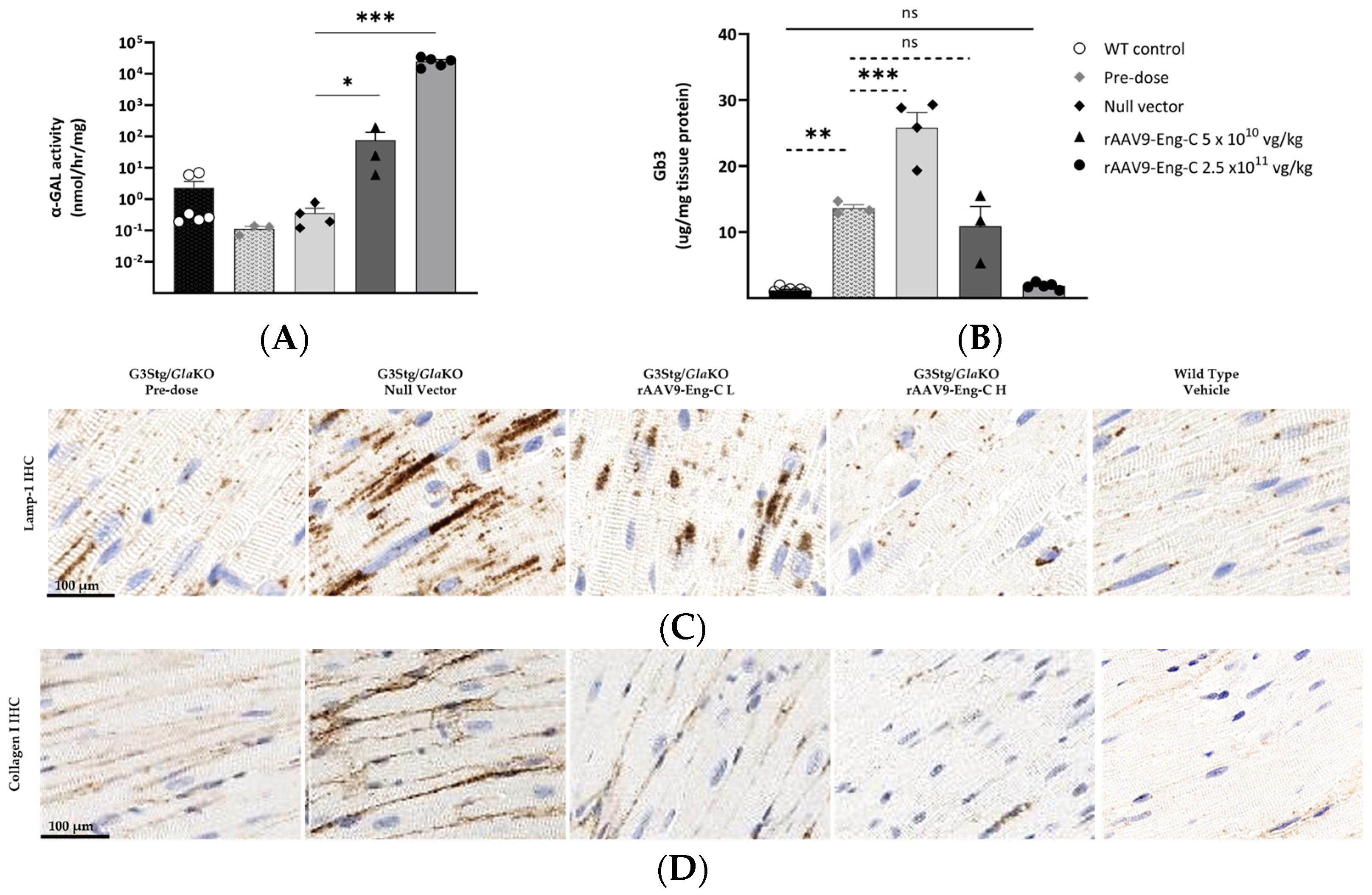 Biomedicines 13 00577 g007