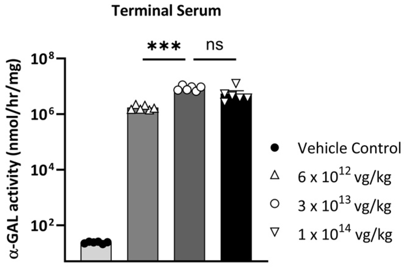 Biomedicines 13 00577 g015