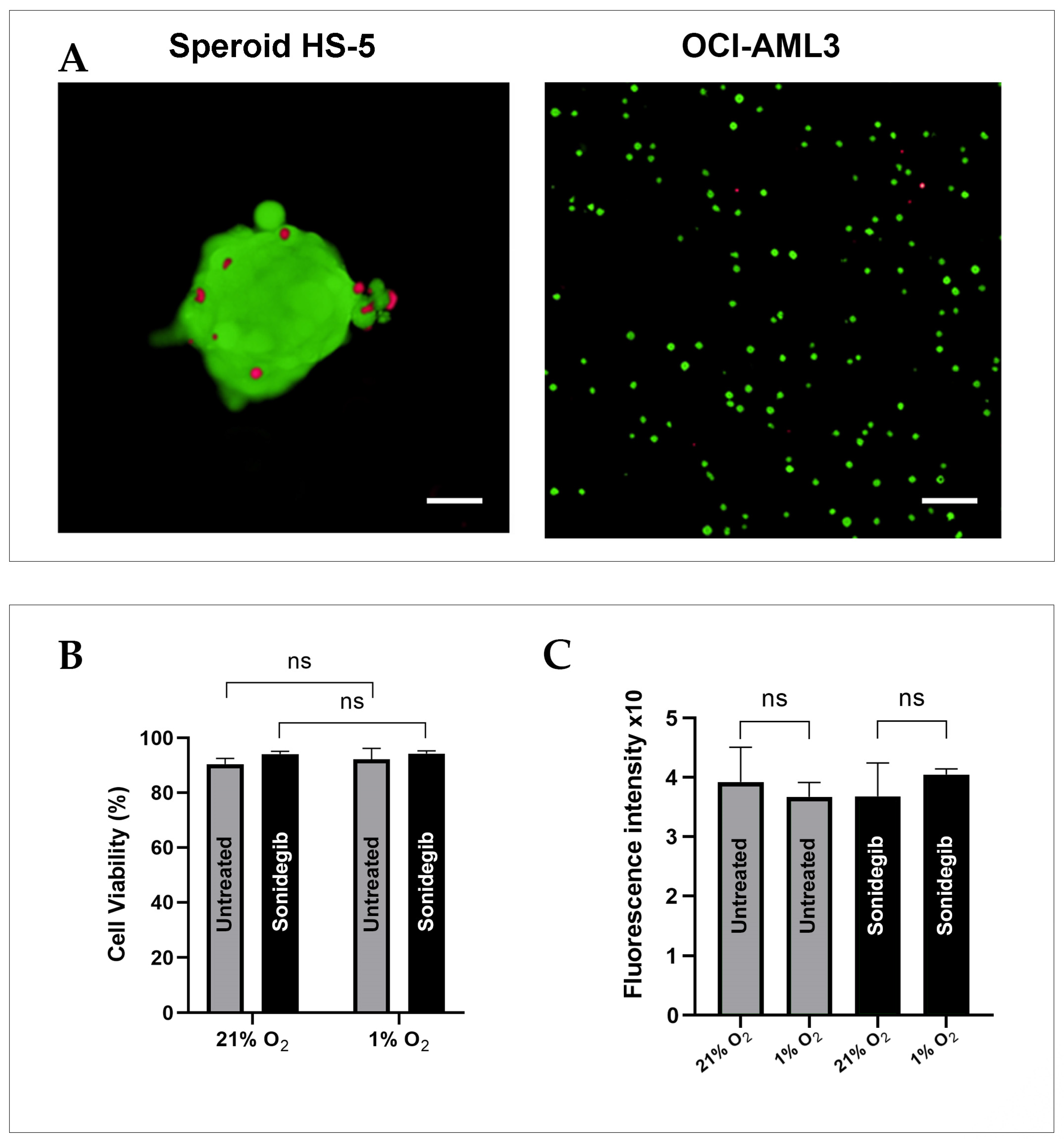 Biomedicines 13 00578 g002