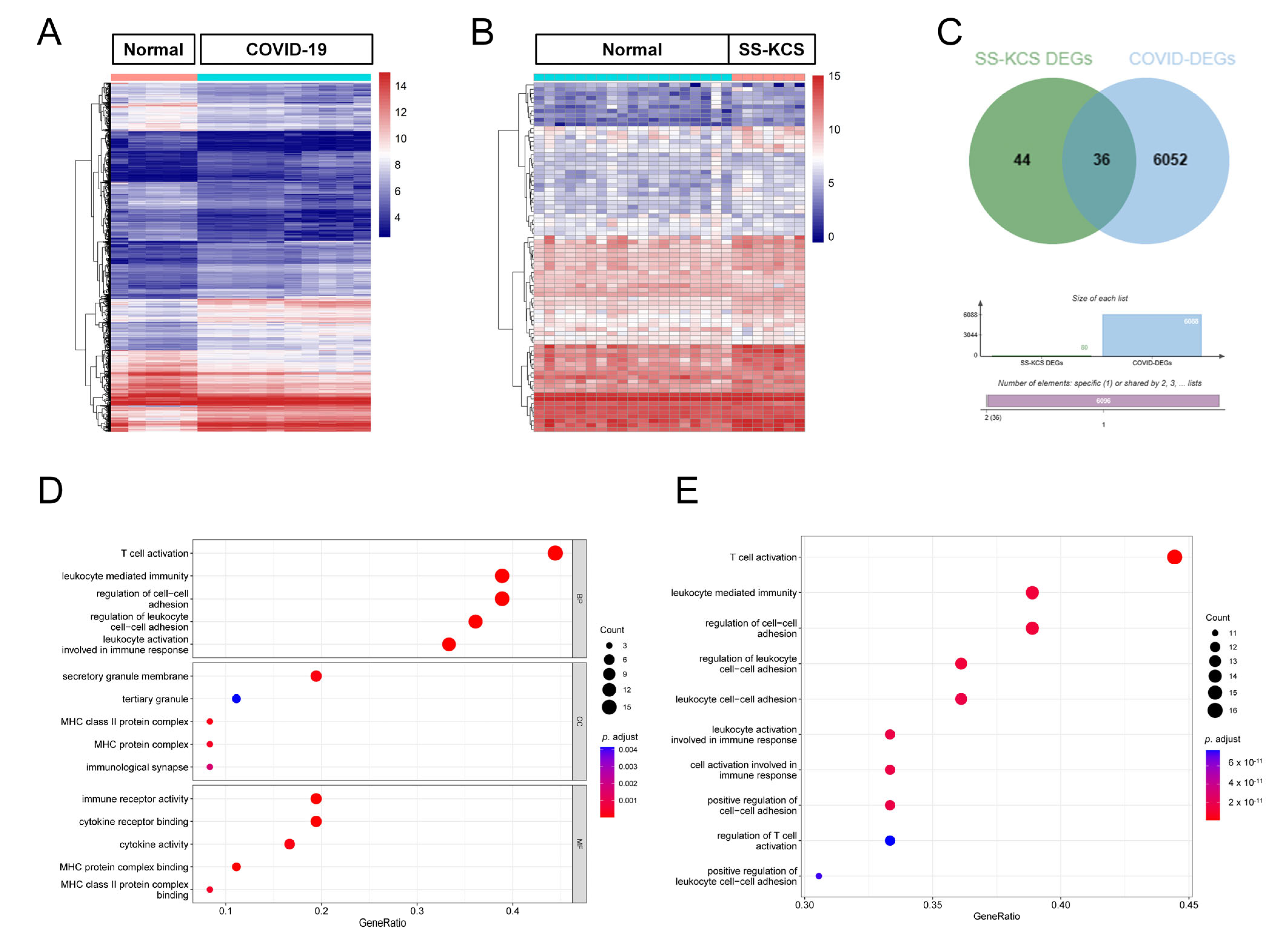 Biomedicines 13 00579 g002