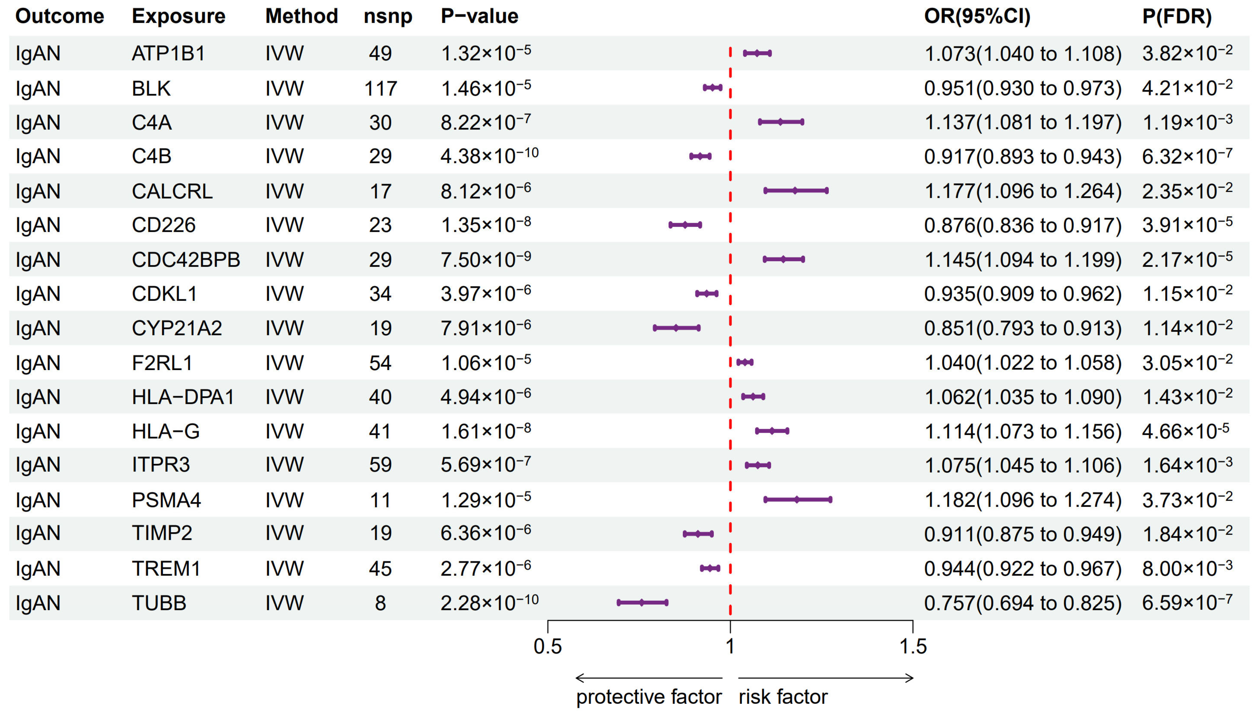 Biomedicines 13 00581 g003