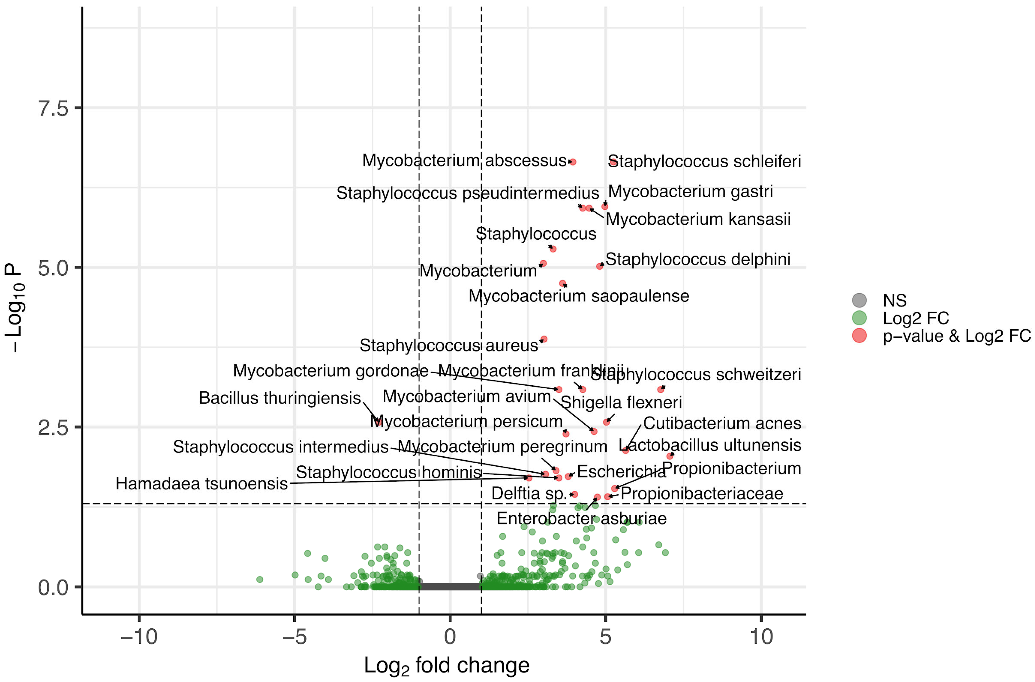 Biomedicines 13 00583 g001