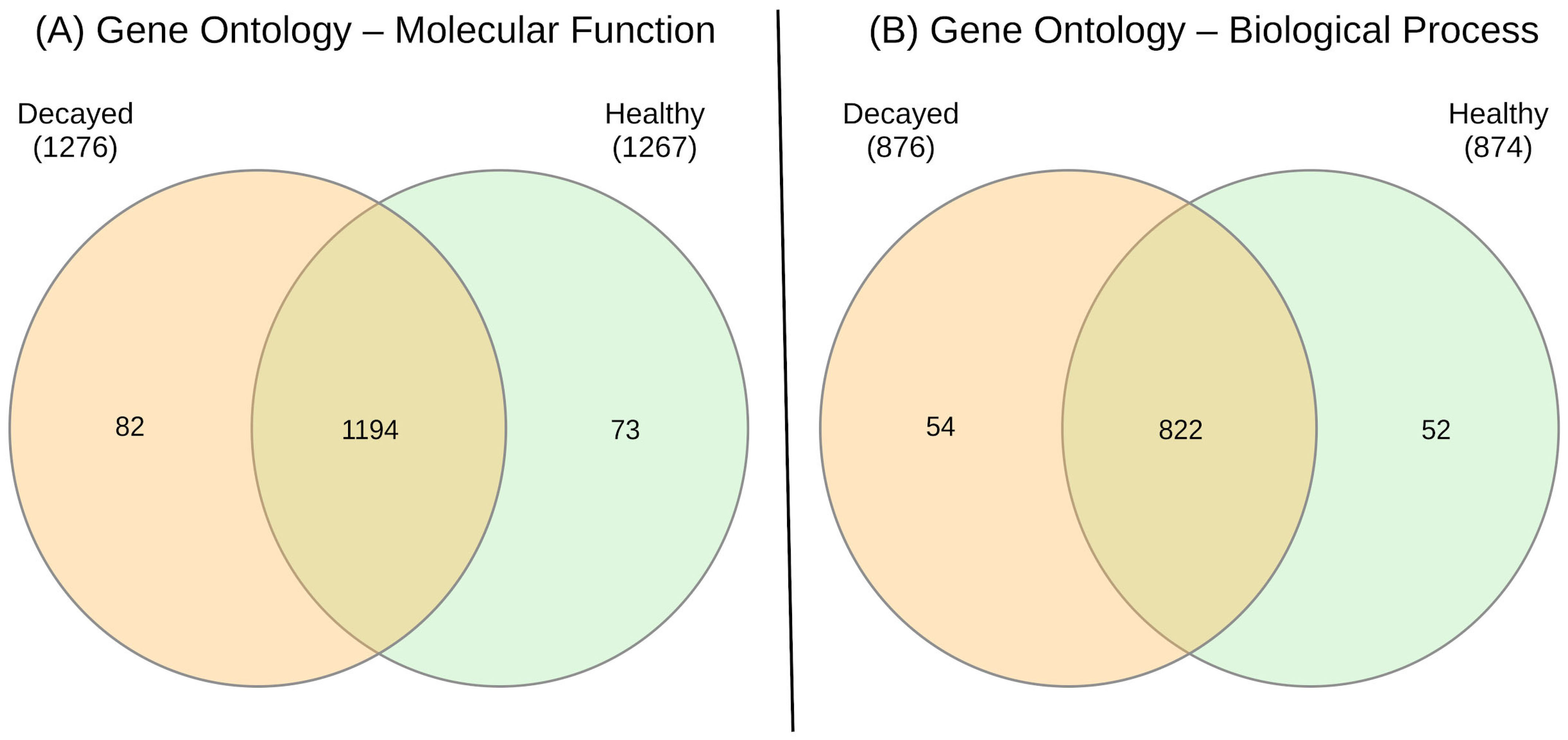Biomedicines 13 00583 g002