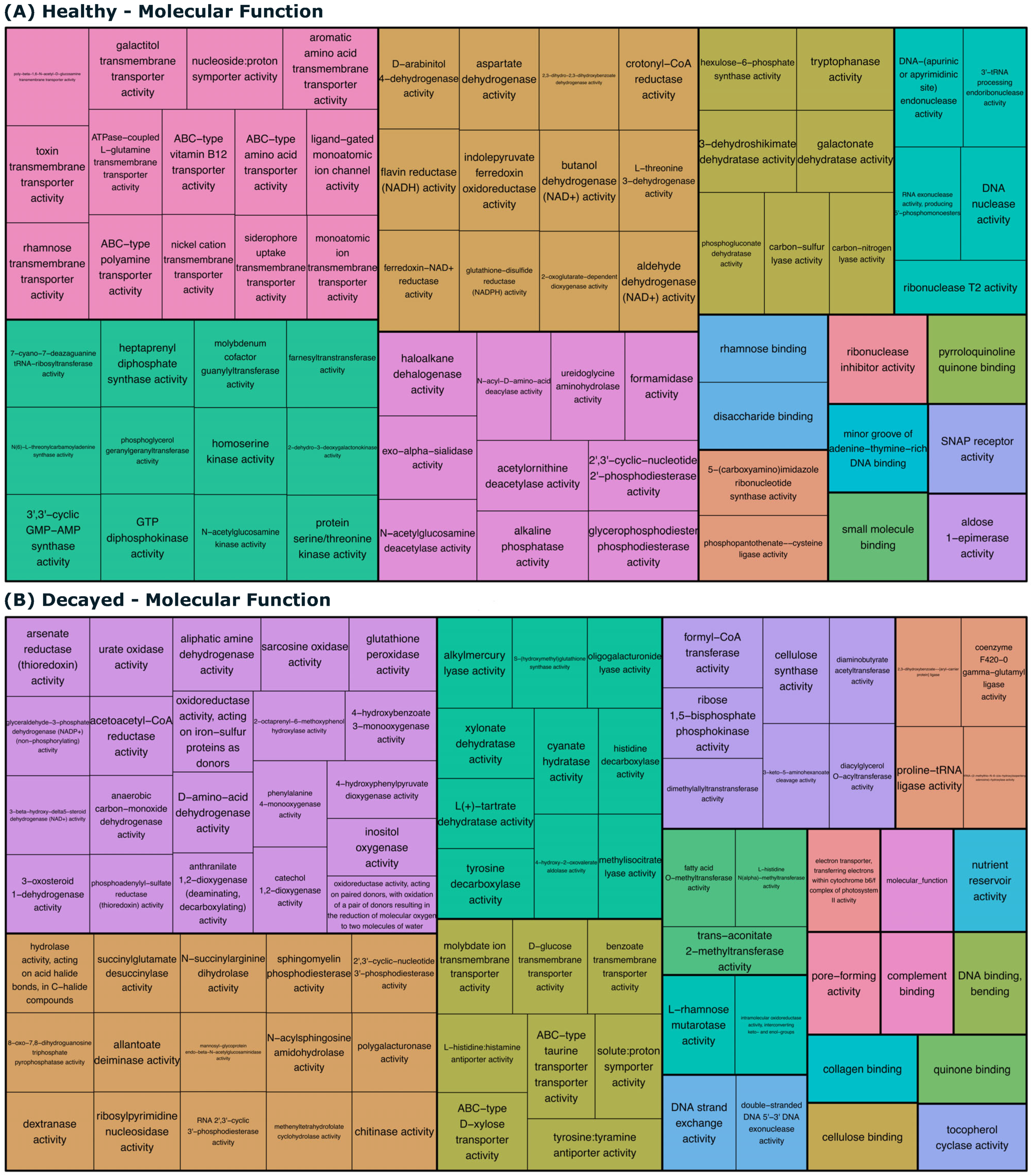 Biomedicines 13 00583 g003