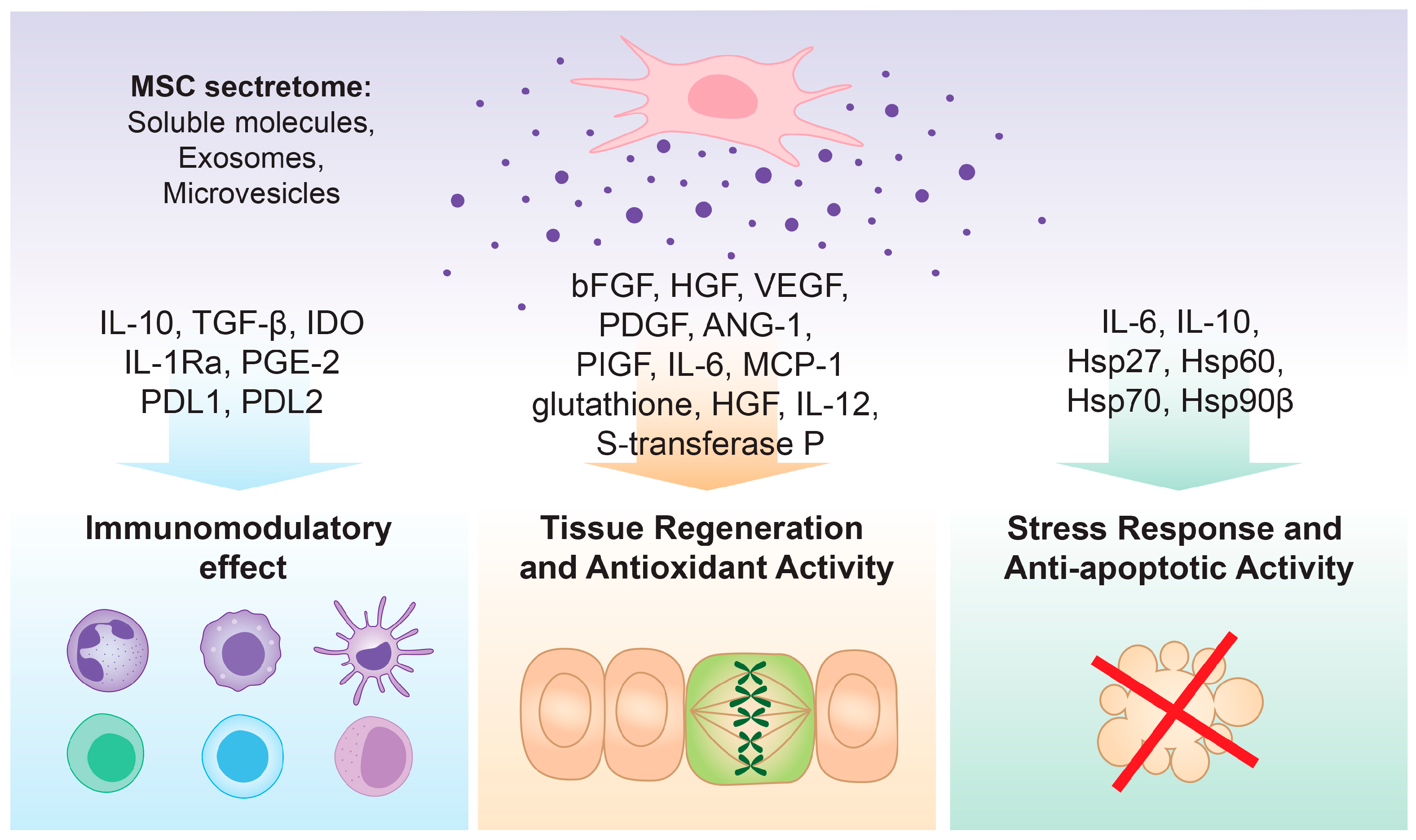 Biomedicines 13 00586 g001
