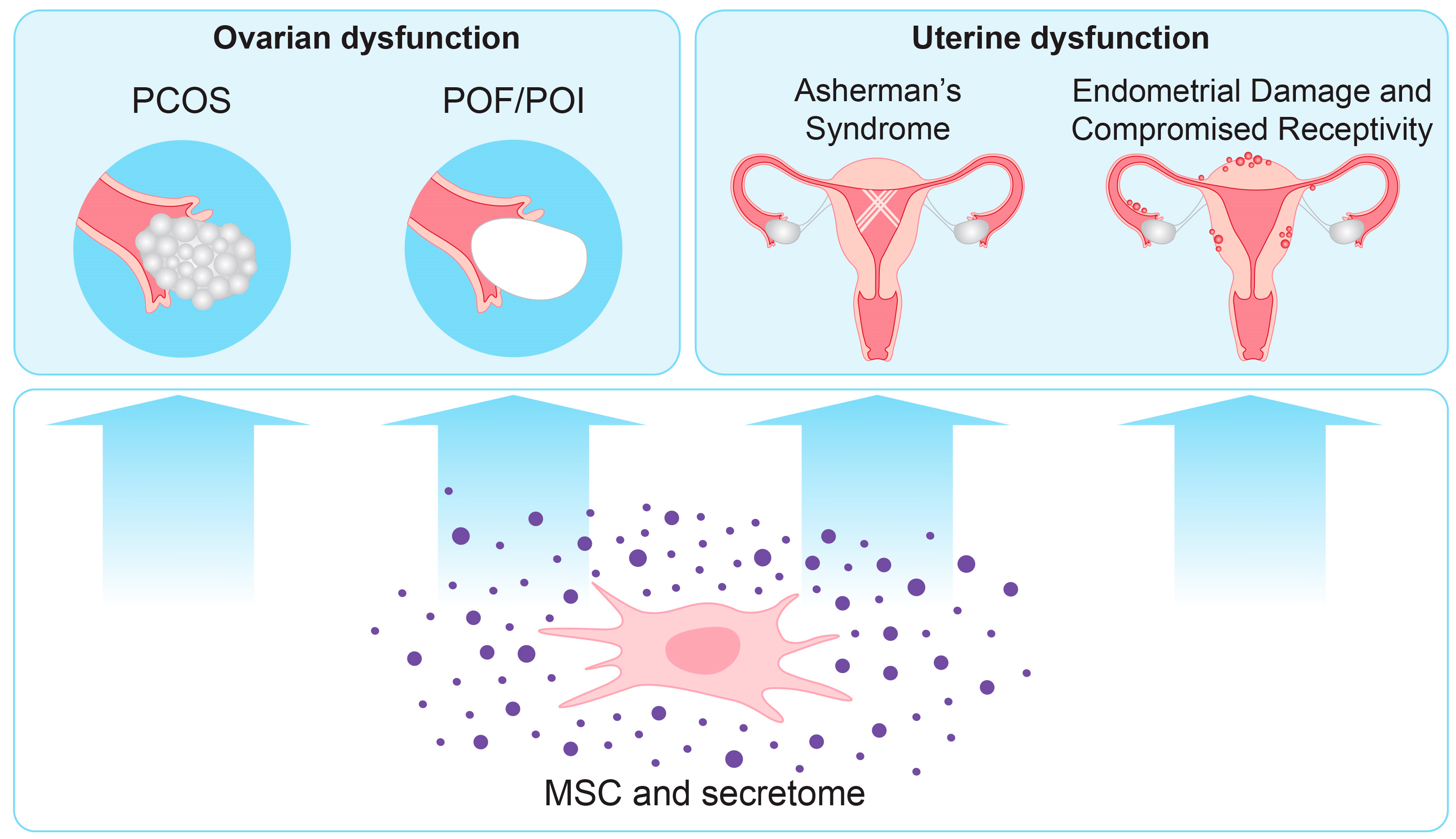 Biomedicines 13 00586 g002