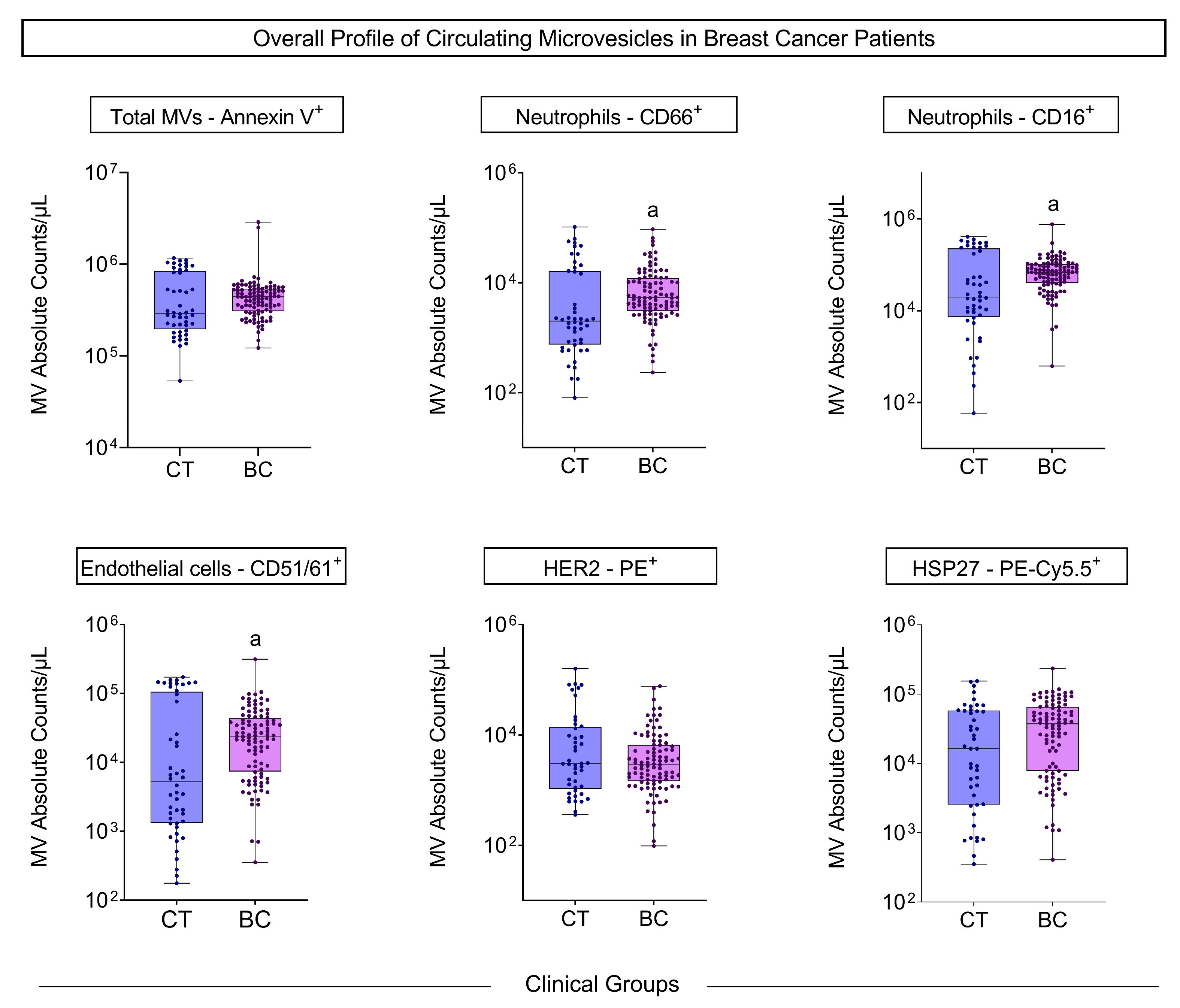 Biomedicines 13 00587 g001
