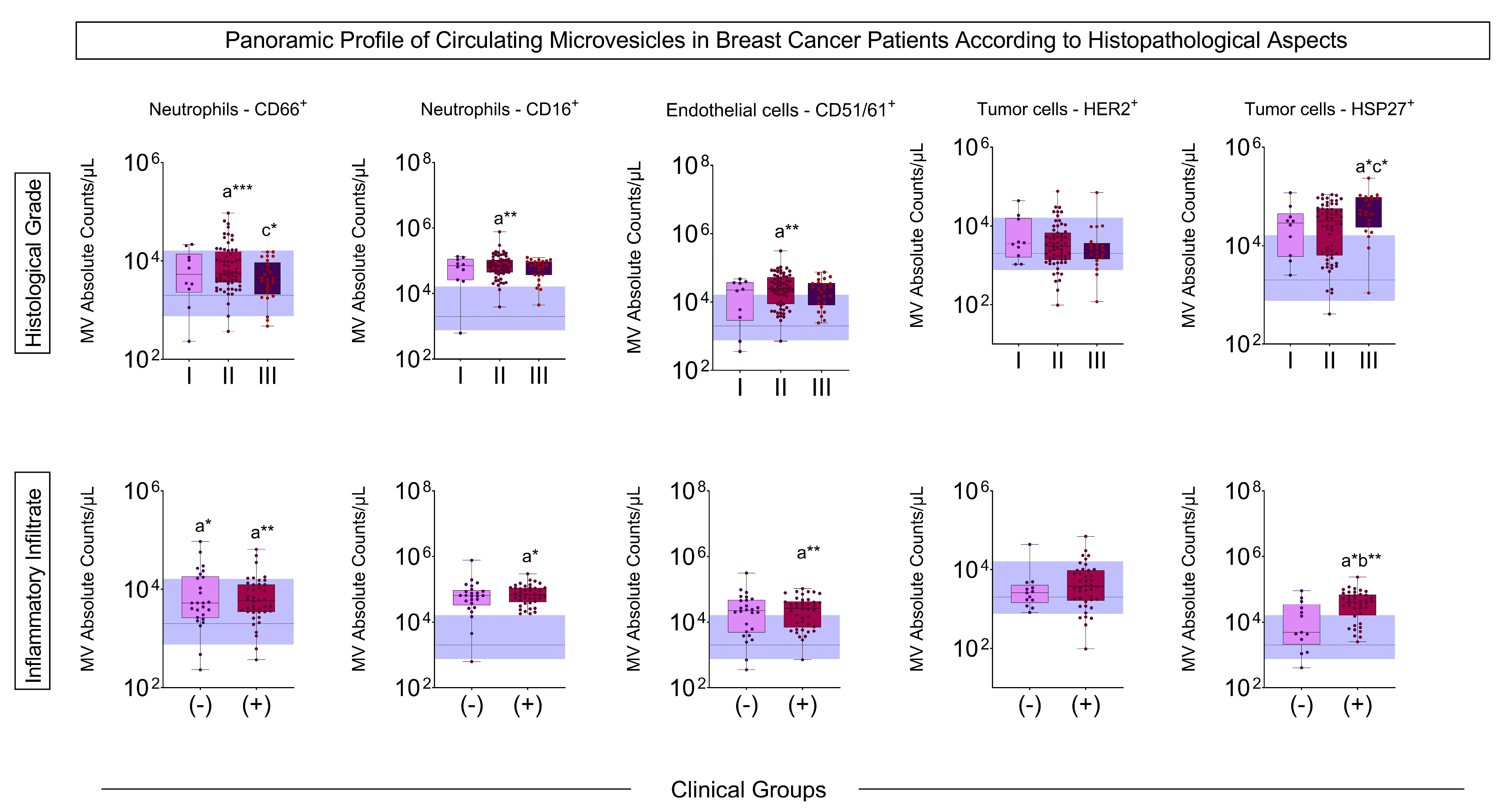 Biomedicines 13 00587 g002
