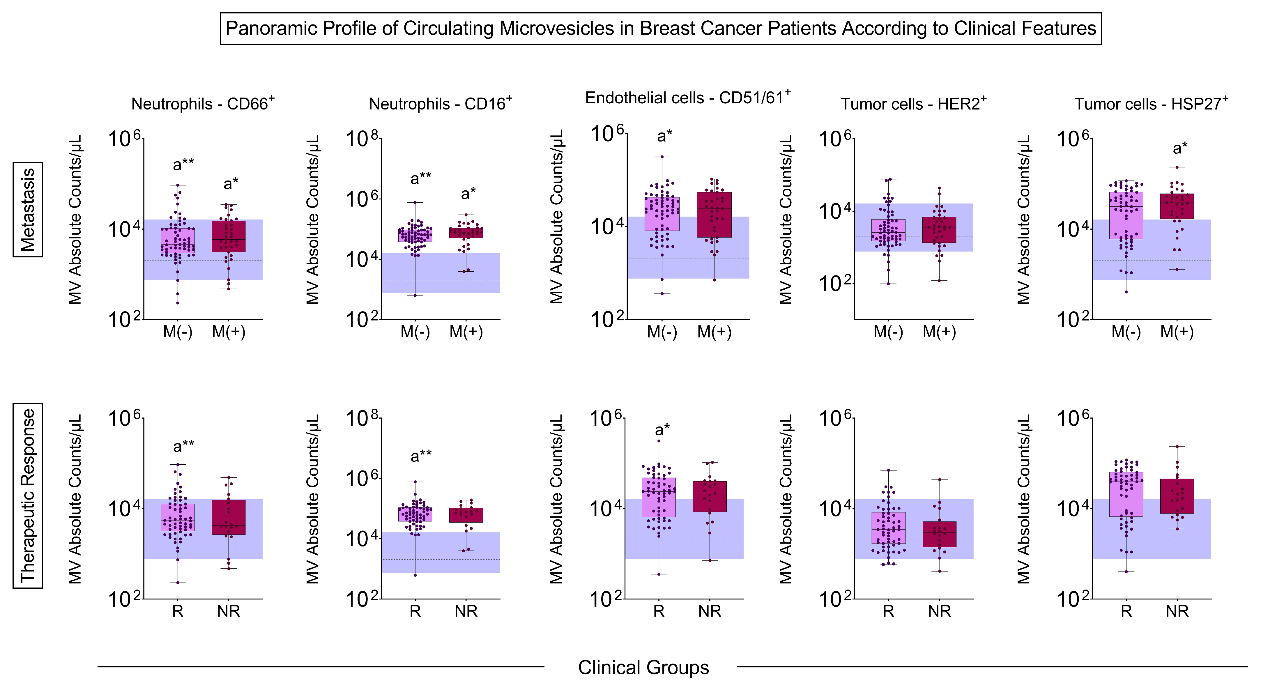 Biomedicines 13 00587 g004