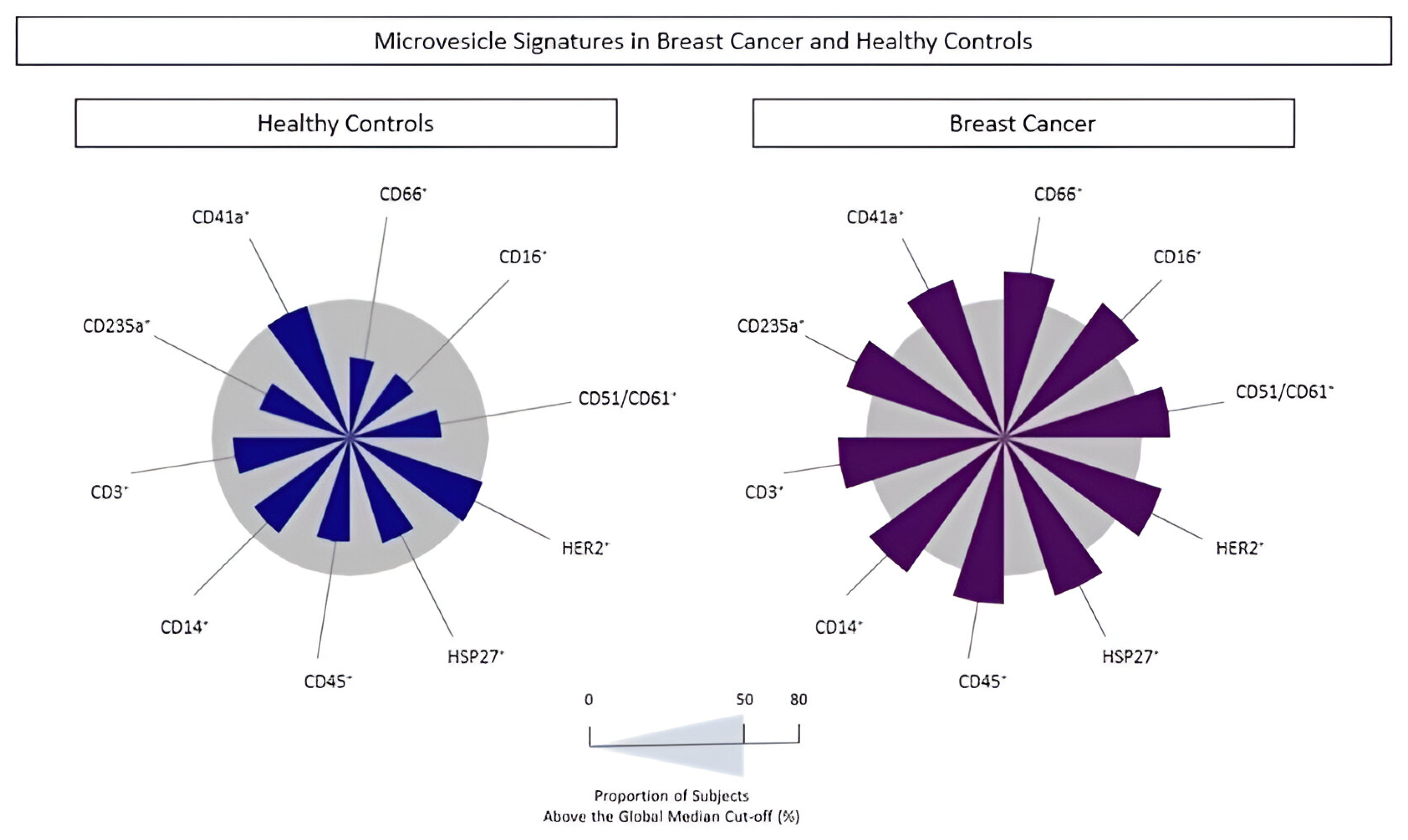 Biomedicines 13 00587 g006
