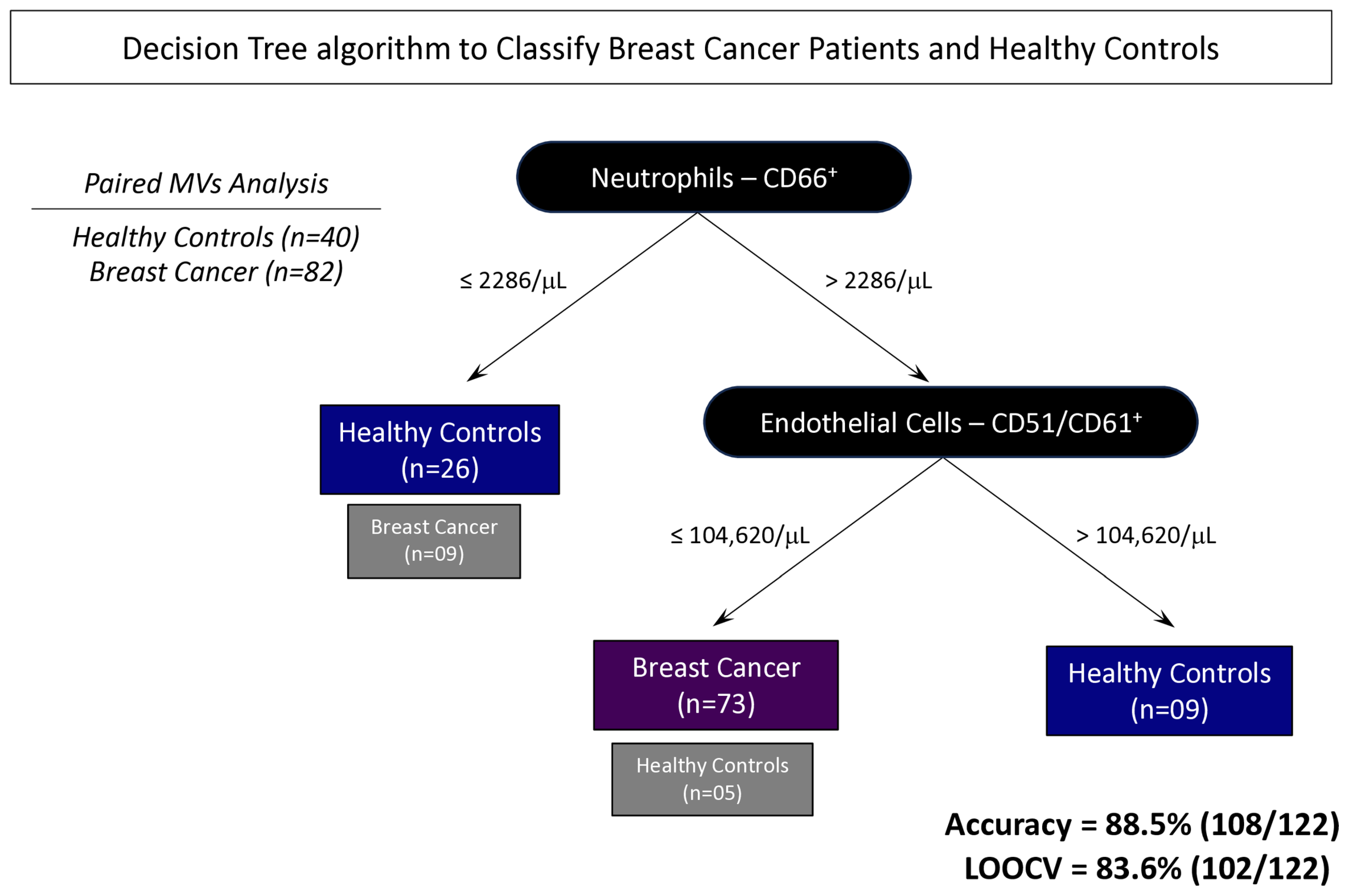 Biomedicines 13 00587 g008