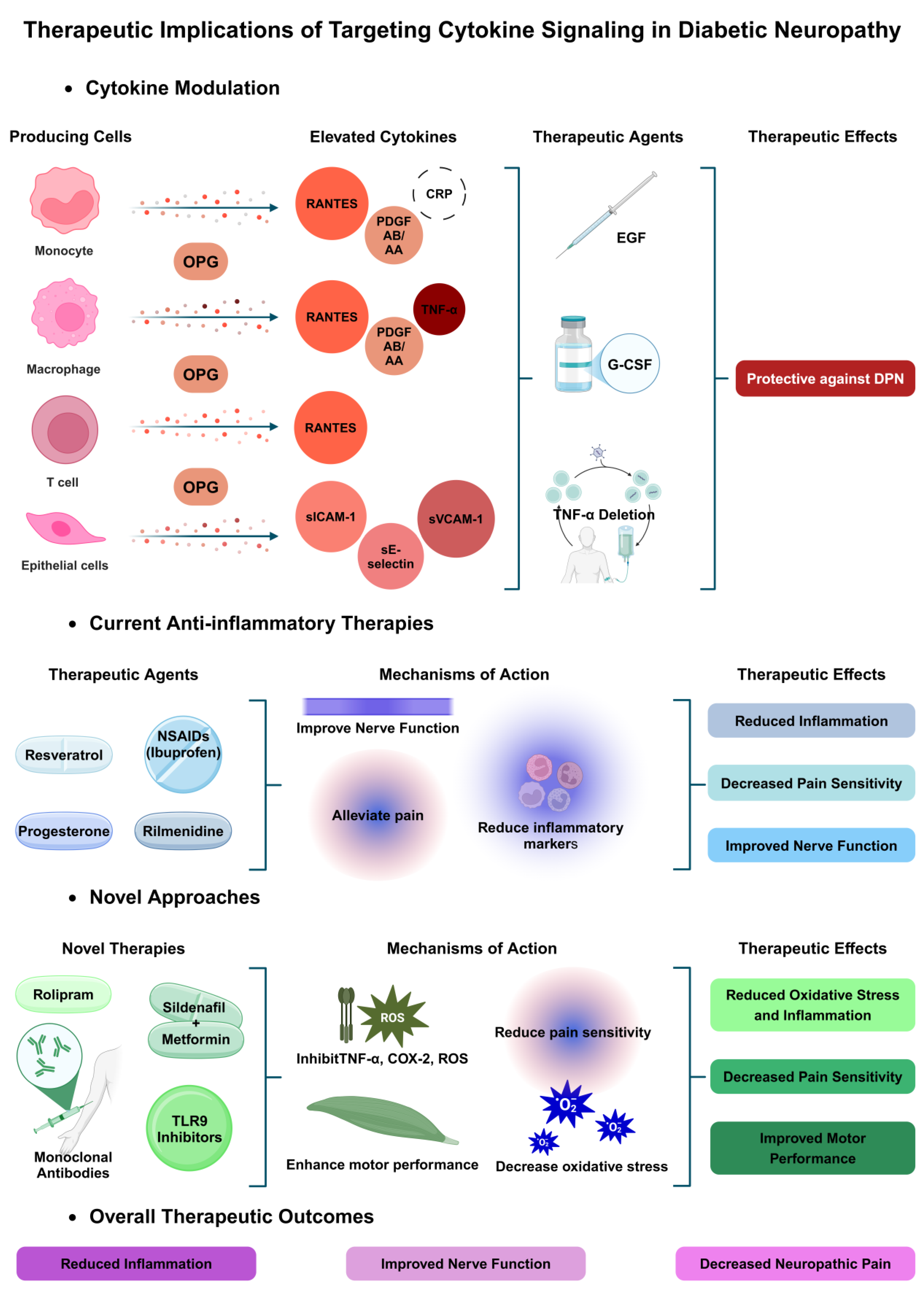 Biomedicines 13 00589 g003