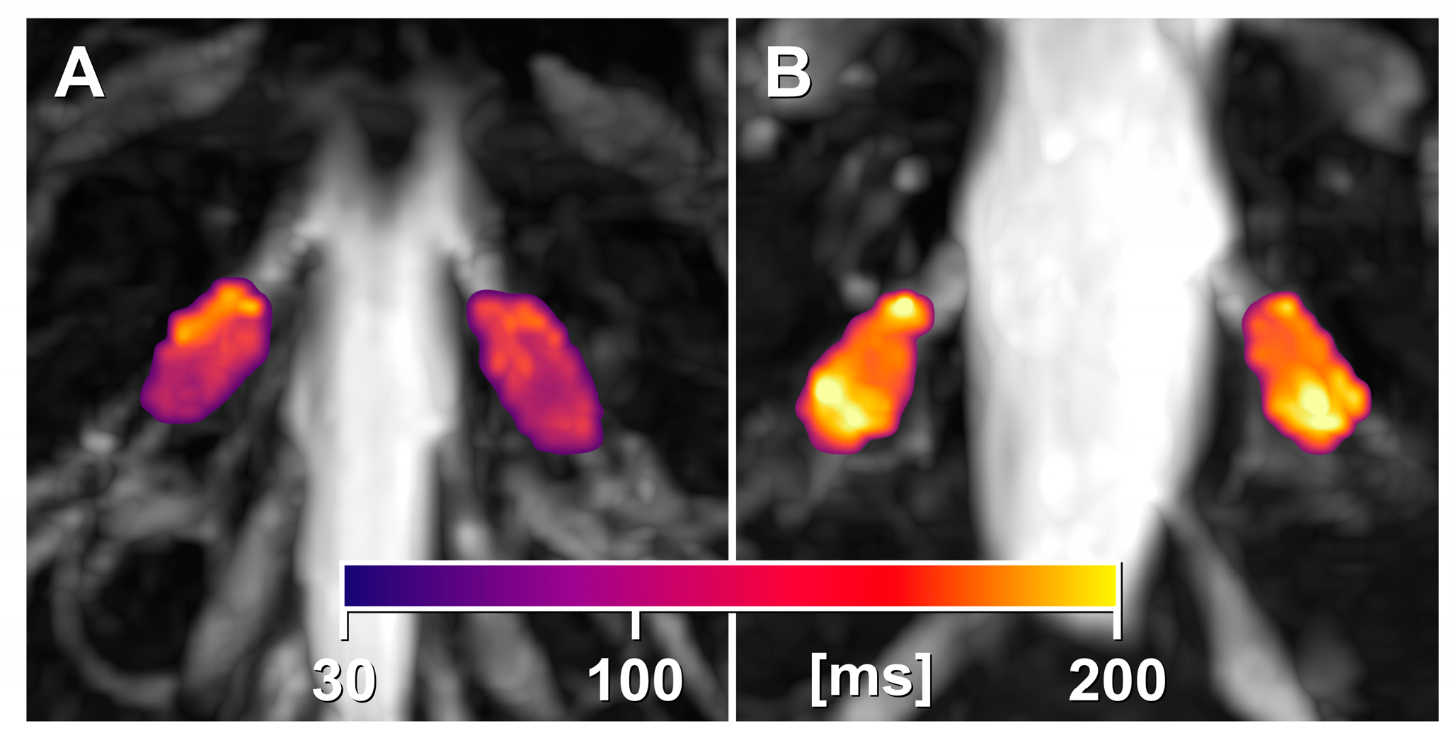 Biomedicines 13 00592 g003