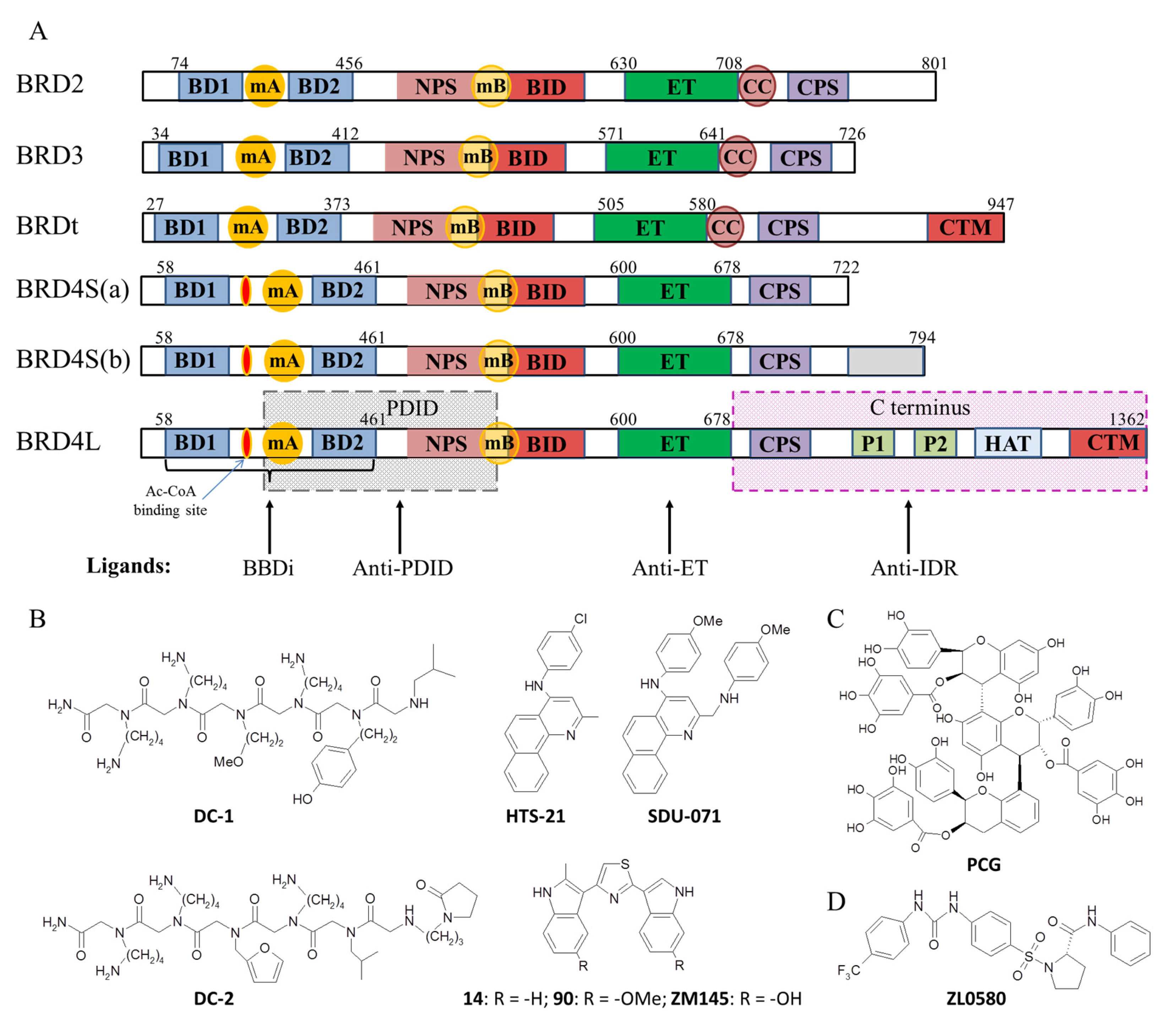 Biomedicines 13 00594 g001