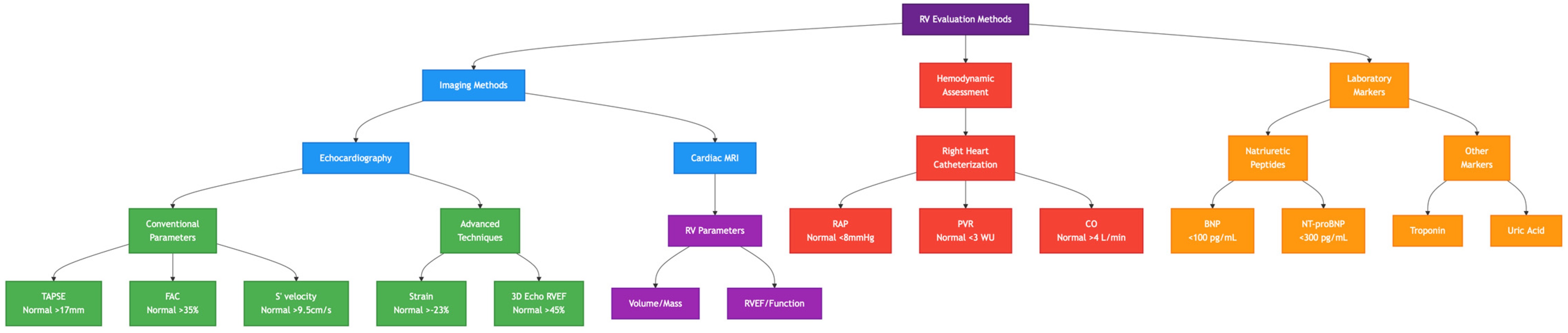 Biomedicines 13 00600 g004 Biomedicines 13 00600 g004