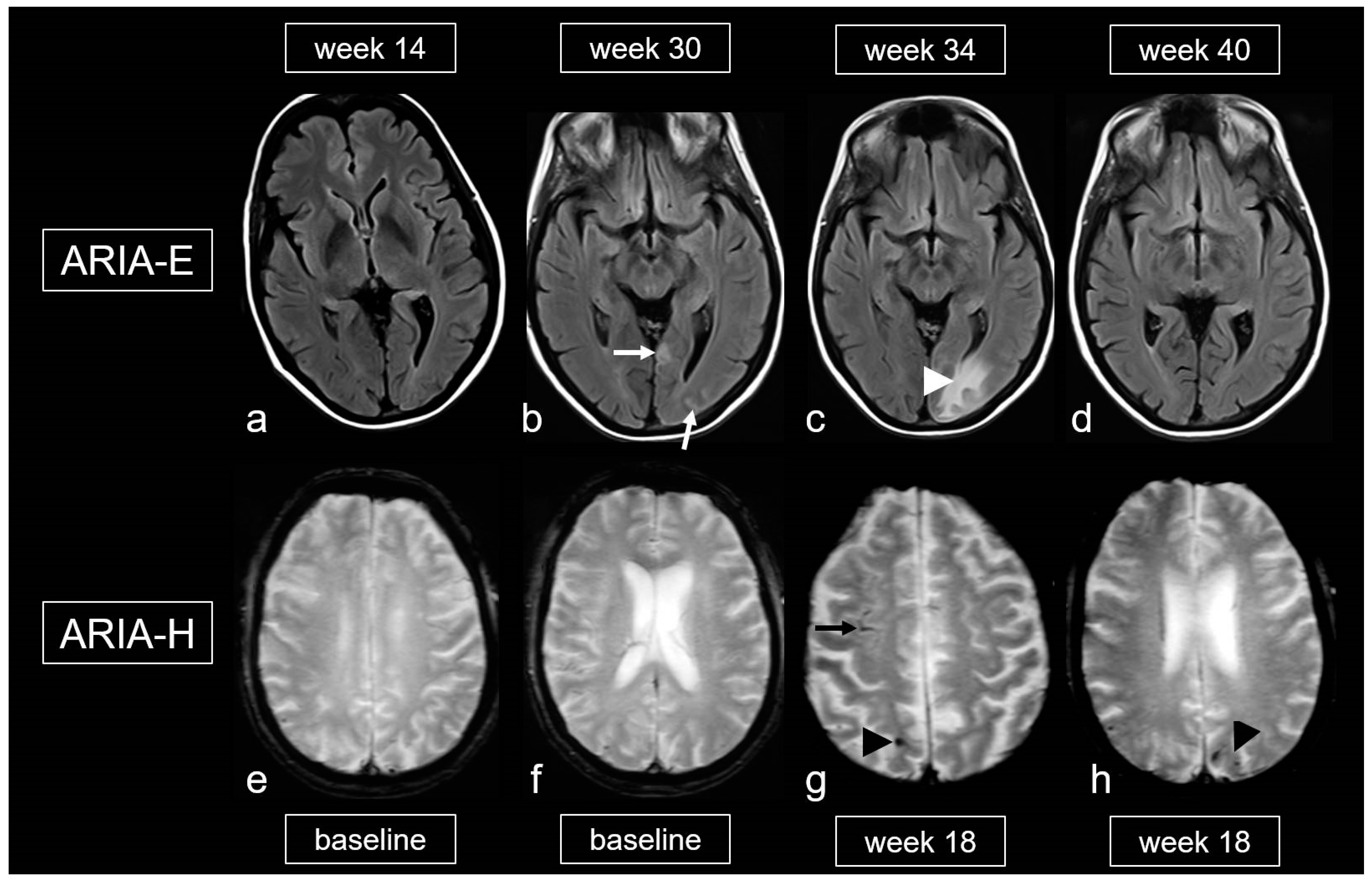 Biomedicines 13 00603 g009