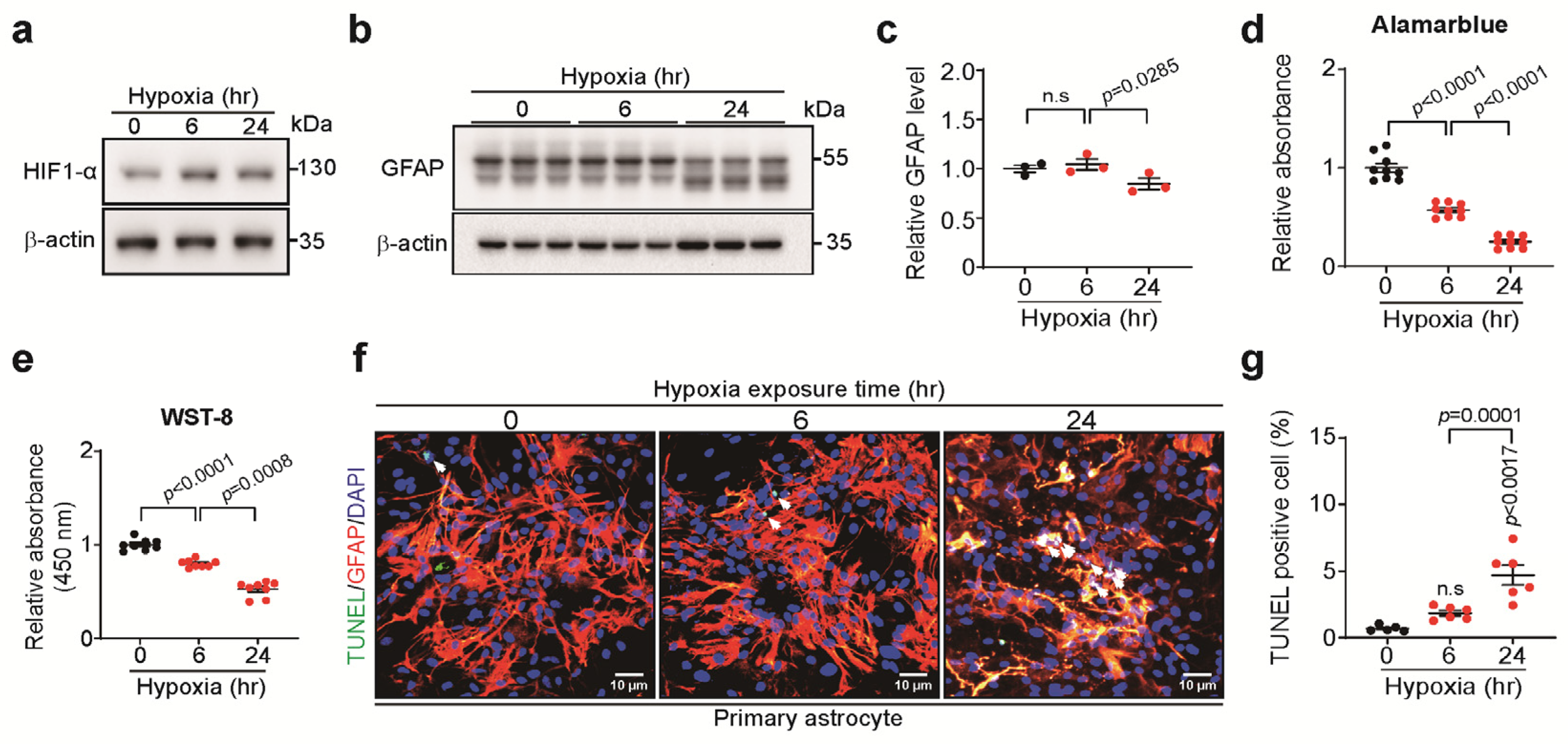 Biomedicines 13 00604 g001
