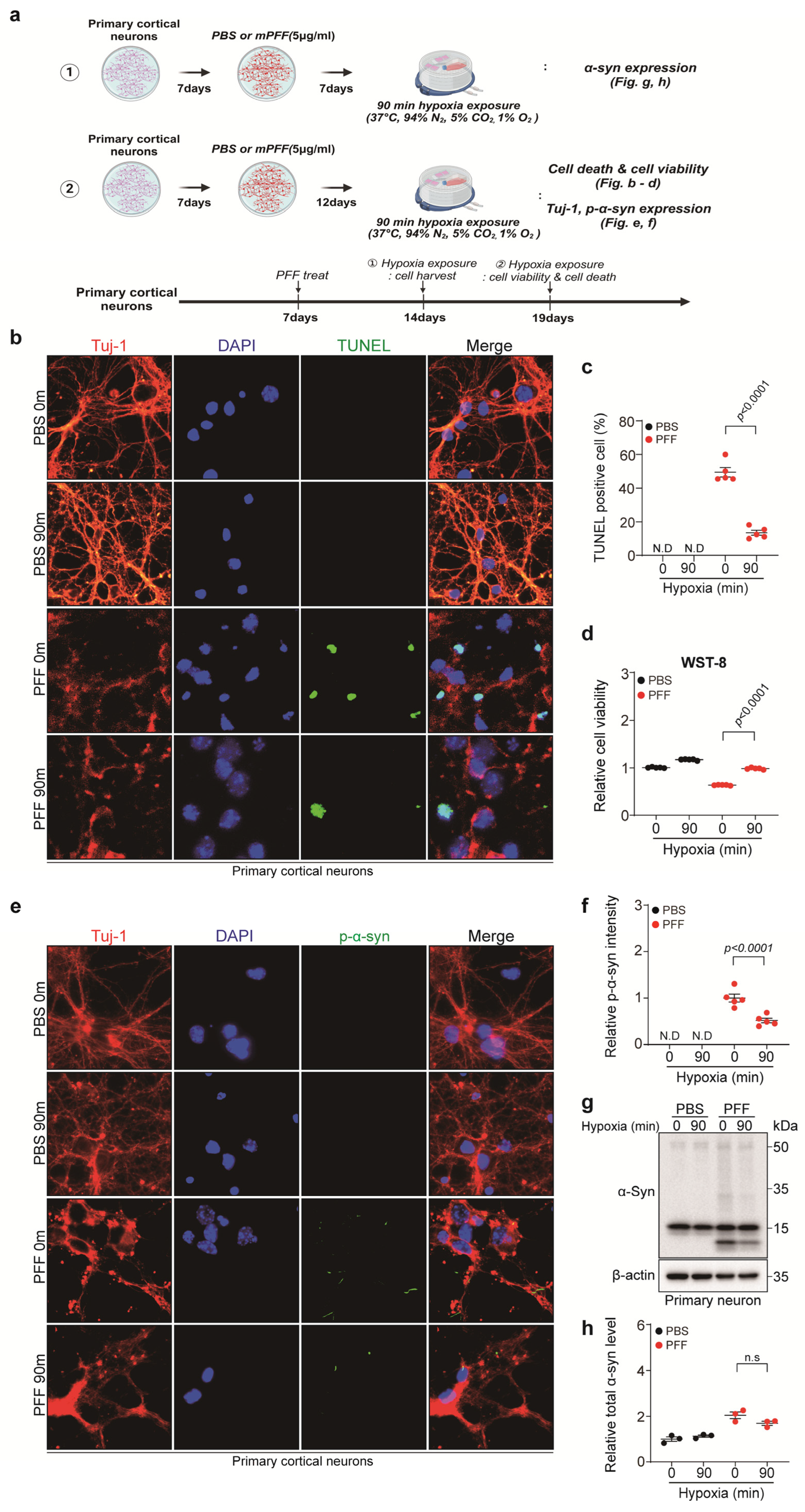 Biomedicines 13 00604 g003