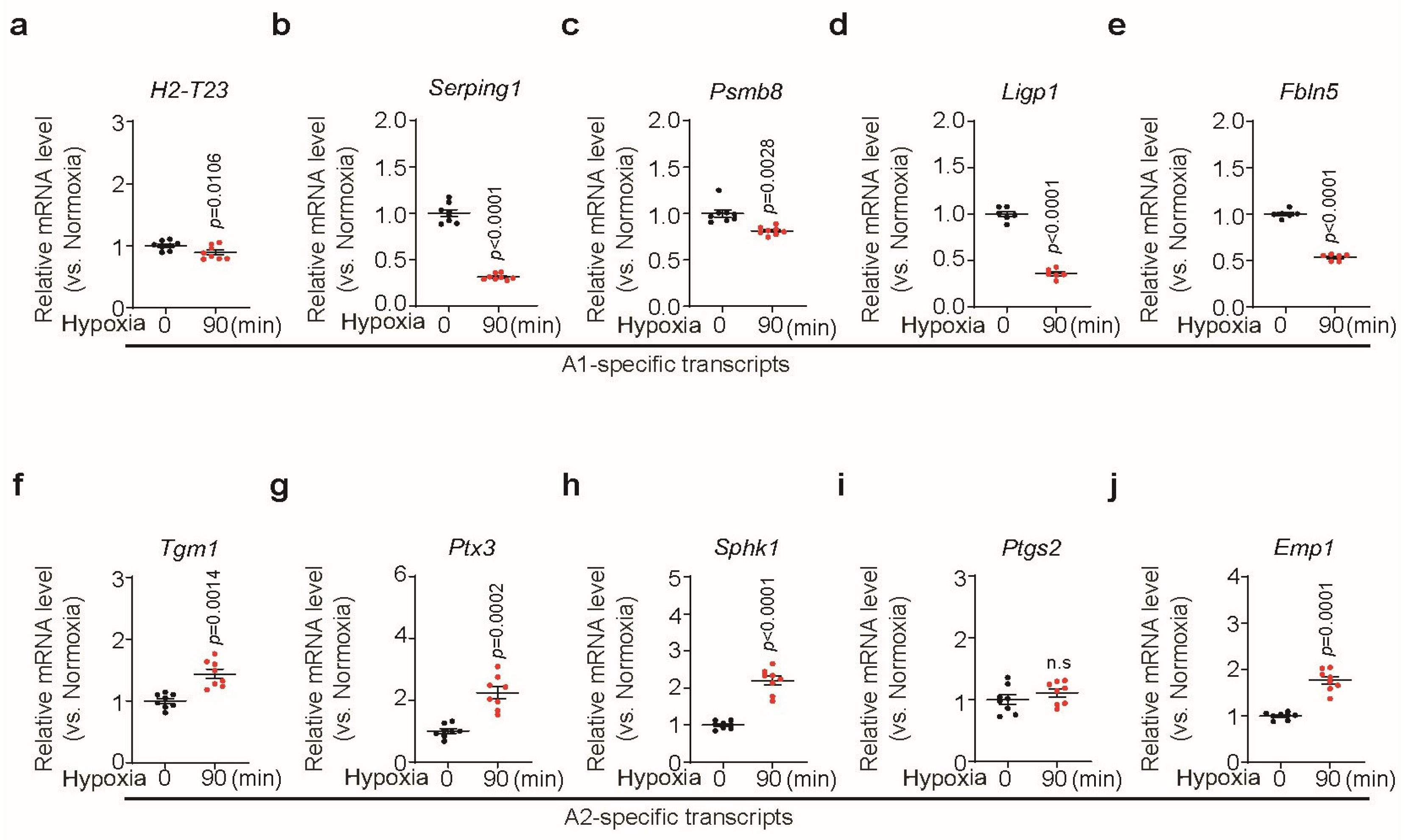 Biomedicines 13 00604 g005